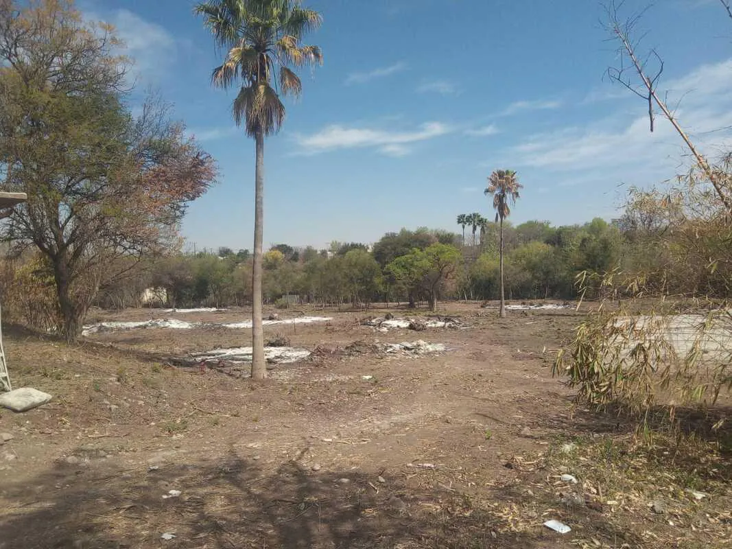 Terreno Spot2