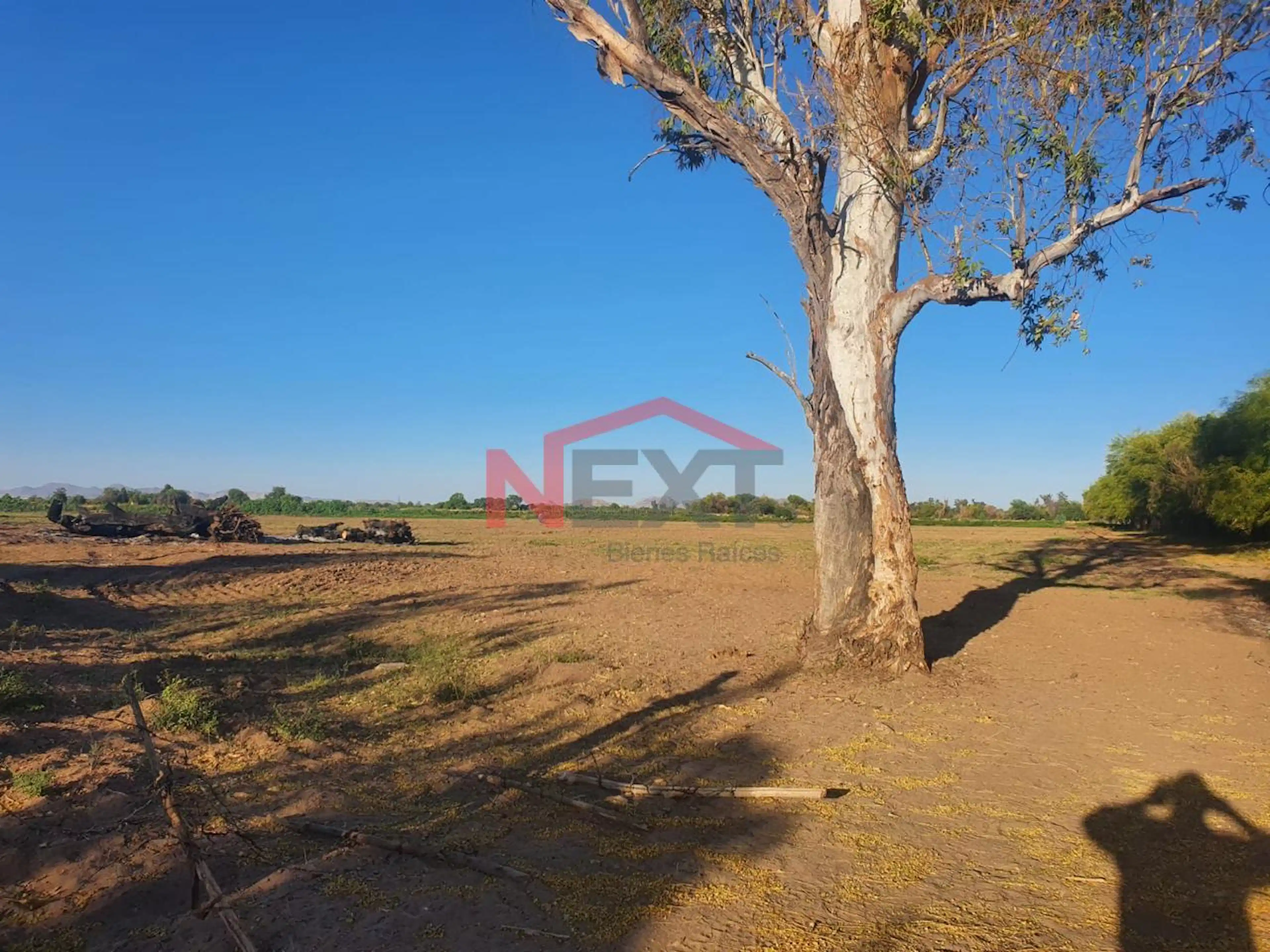 TERRENO EN VENTA SOBRE CAMINO DEL SERI FINAL