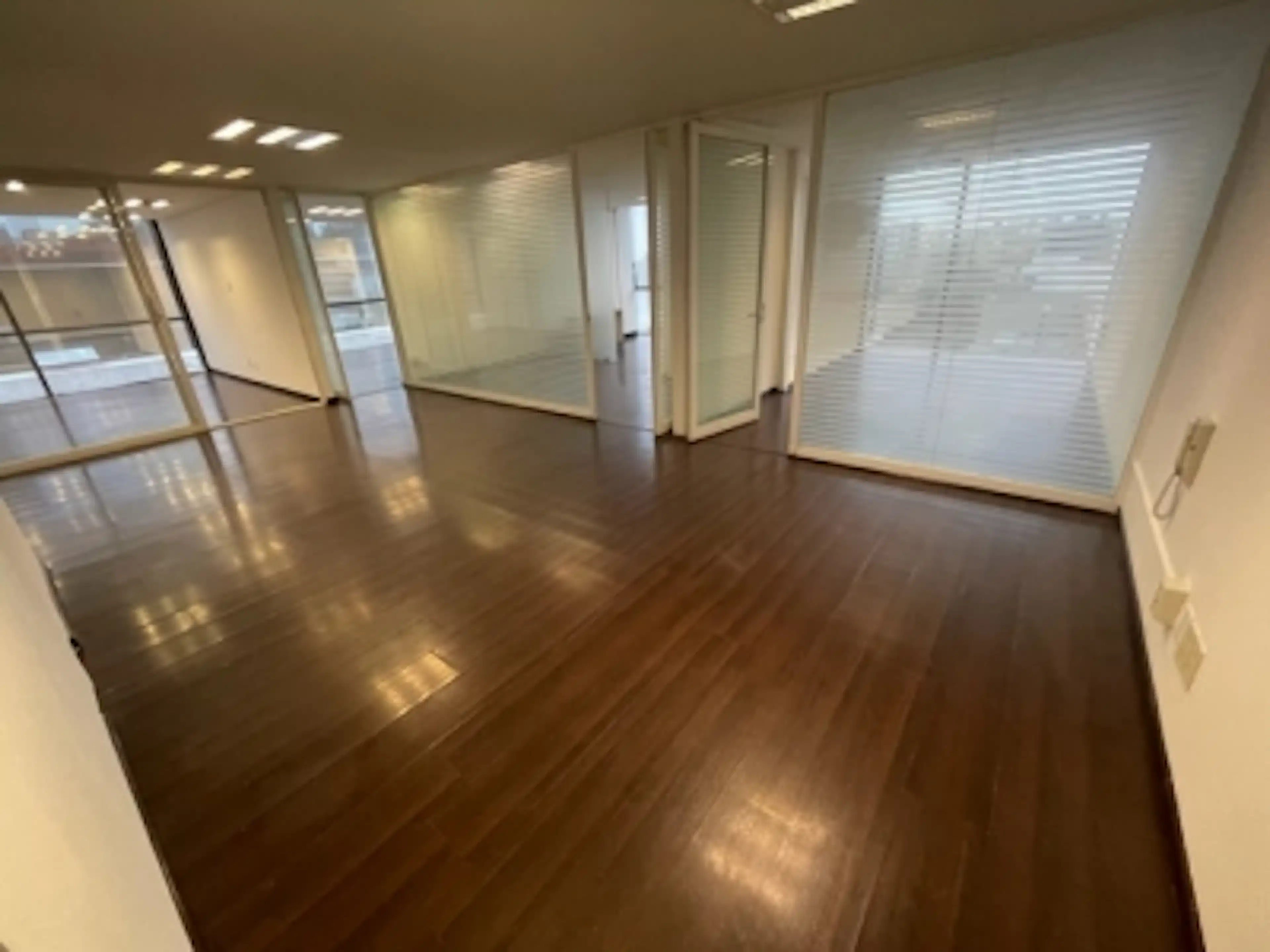 Bosque De Los Ciruelos