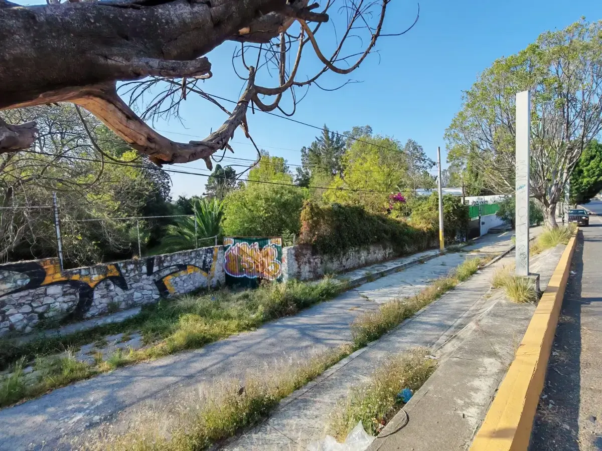 Terreno Spot2