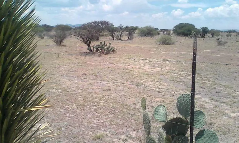 Terreno Spot2