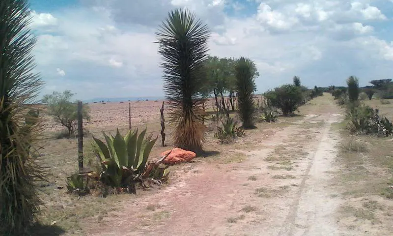 Terreno Spot2