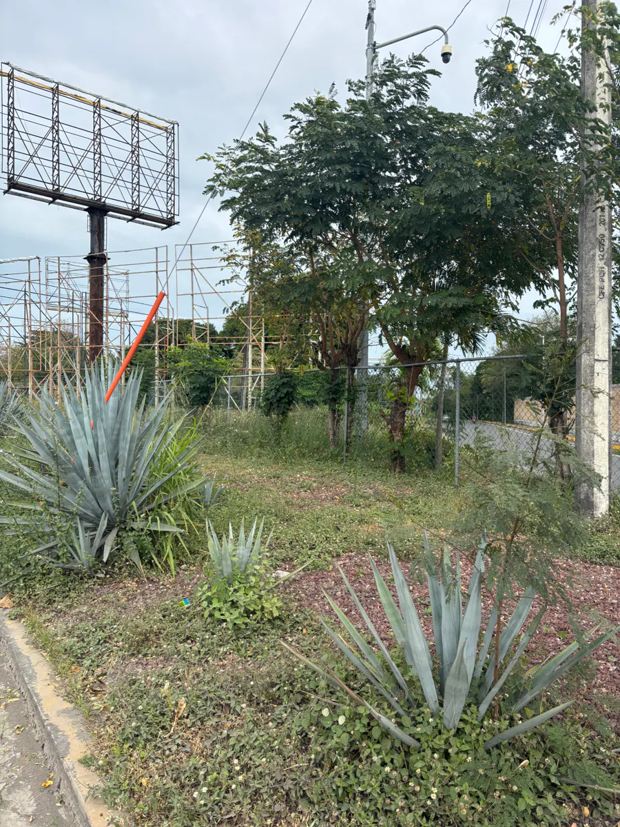 Terreno Spot2