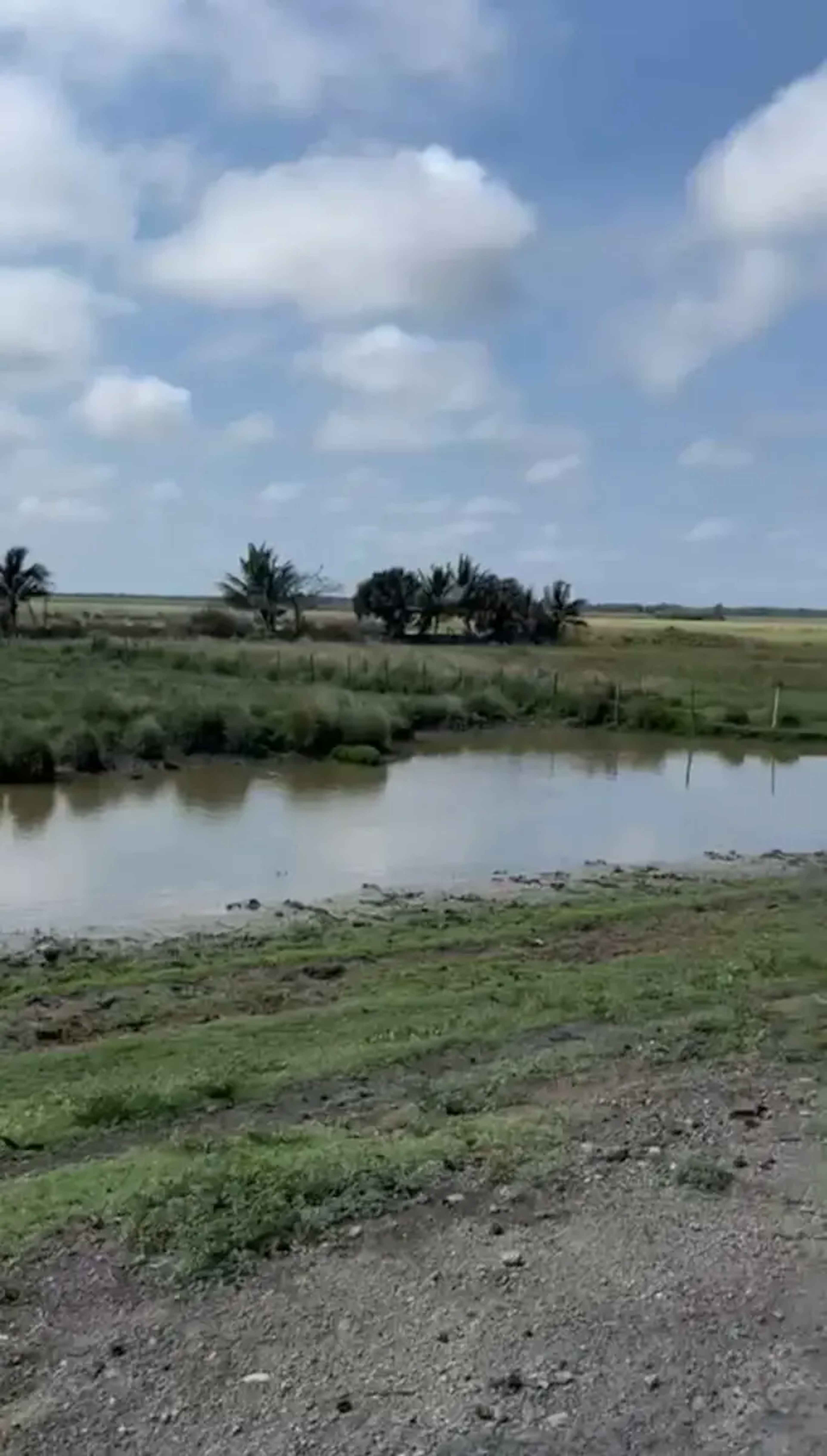 Terreno En Venta En Alvarado Centro, Alvarado, Veracruz De Ignacio De La Llave