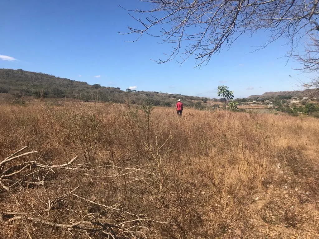 Terreno Spot2