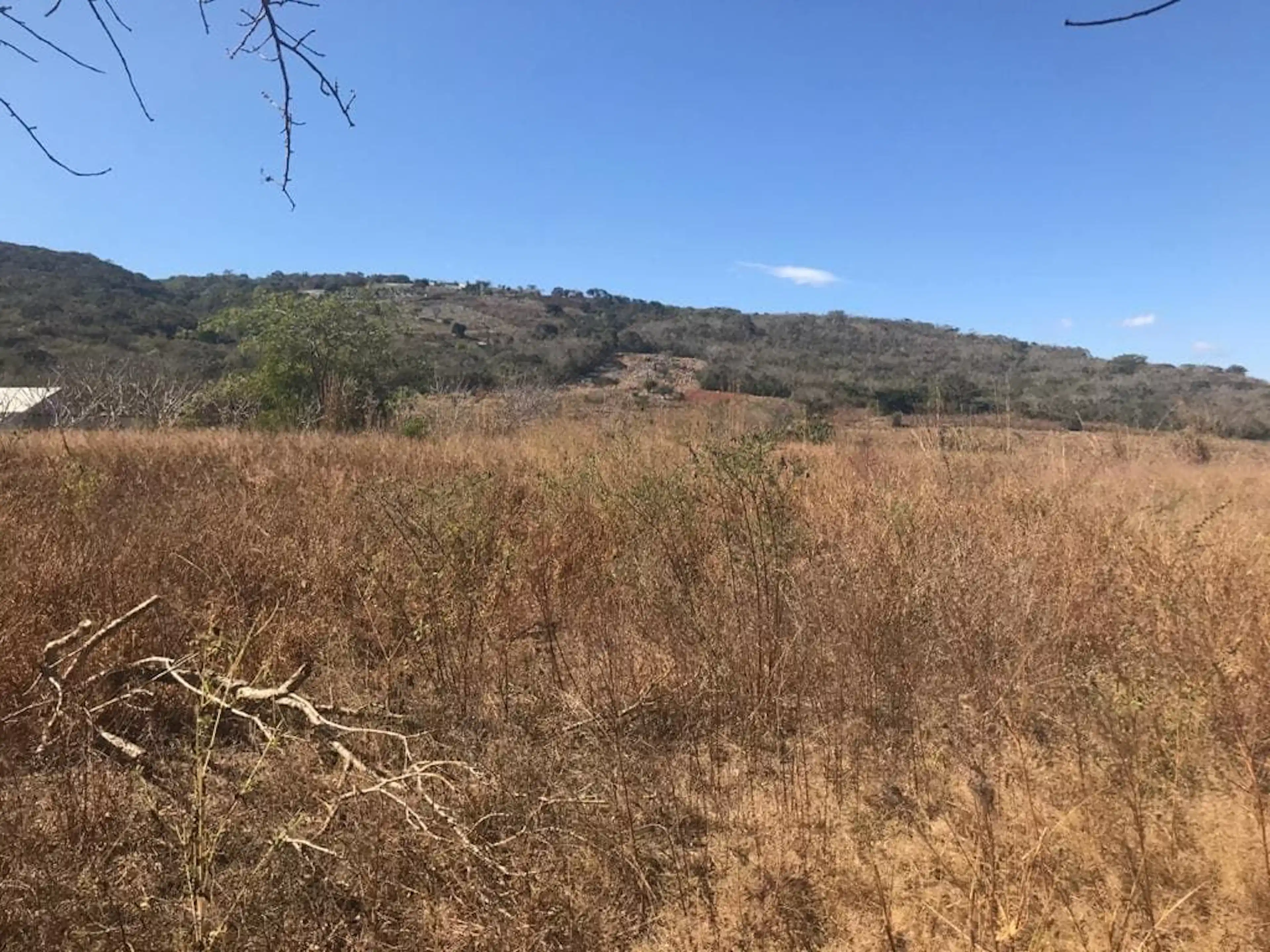 Terreno En Venta, Para Giro Habitacional  Con Escrituras, En Emiliano Zapata