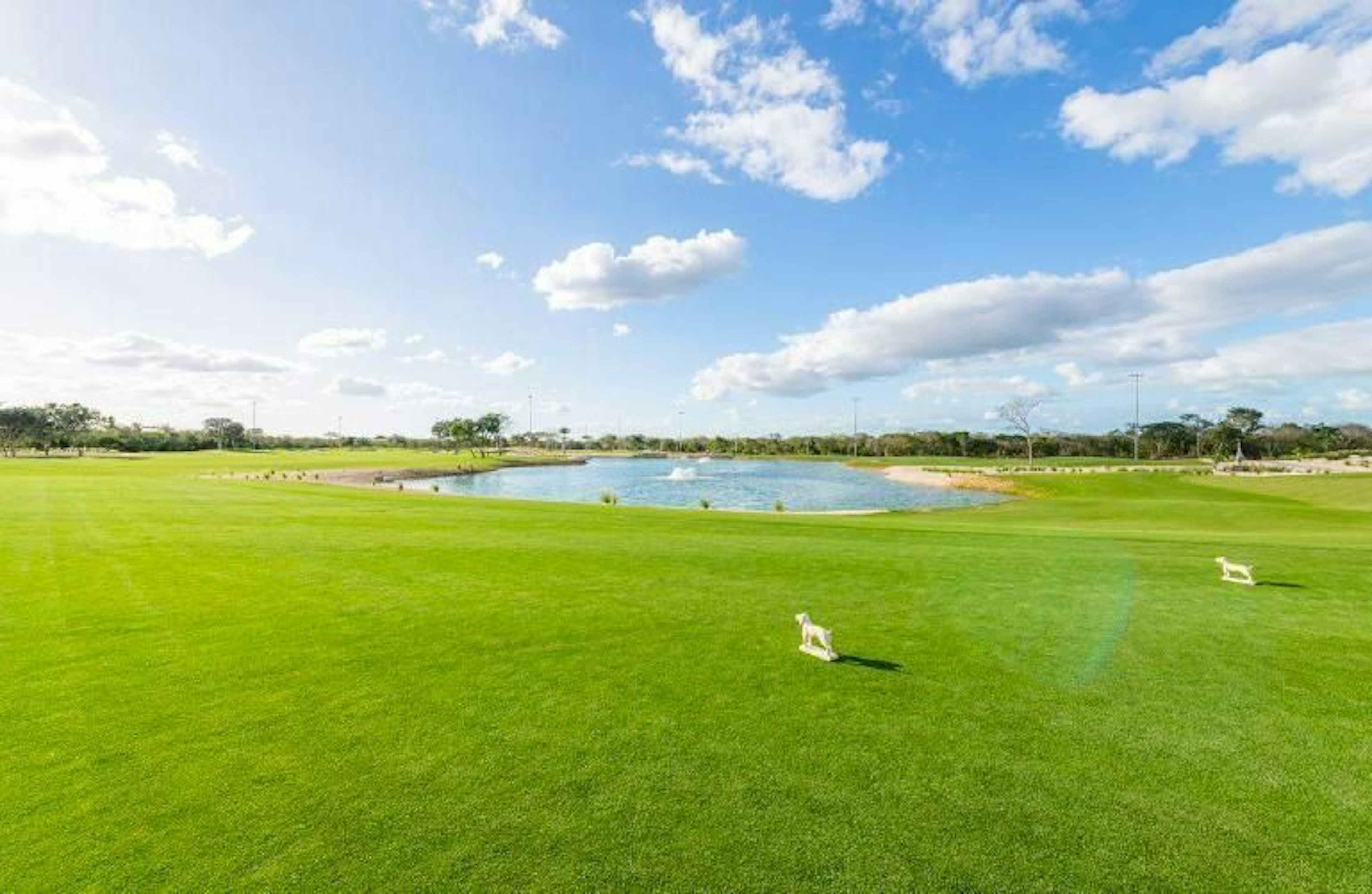 Terreno En Venta Merida, Tamanche, Privada Provincia Con Campo De Golf, Listo.