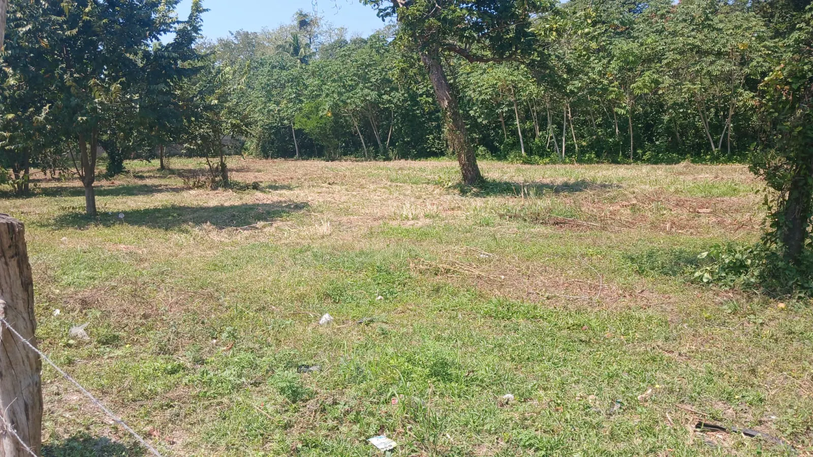 Terreno Spot2