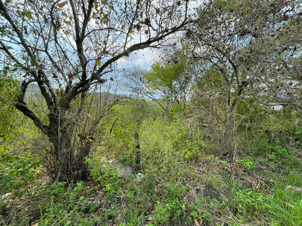 Terreno Spot2