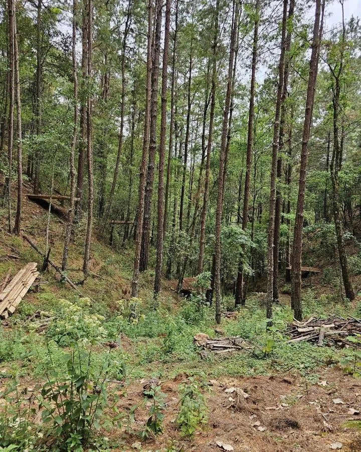 Terreno Spot2