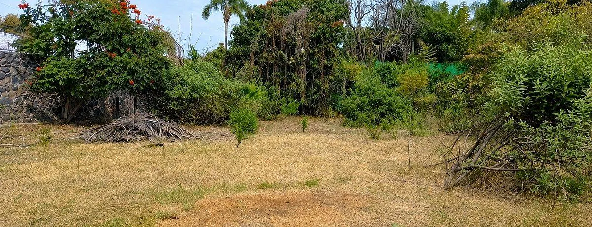 Terreno Spot2
