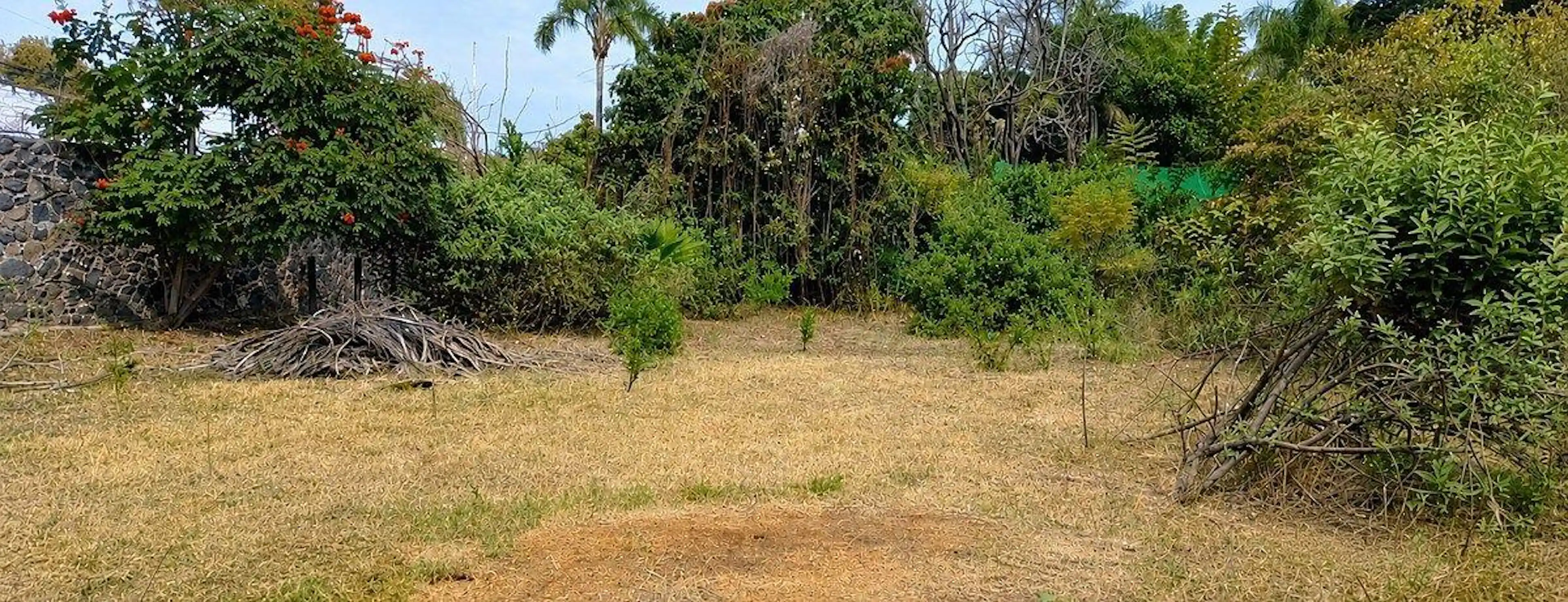 Terreno en zona dorada de Cuernavaca