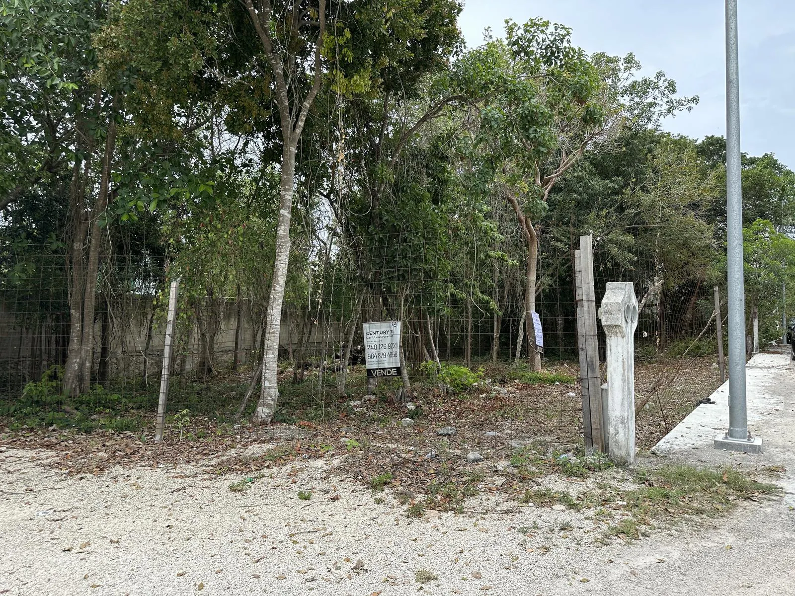 Terreno Spot2