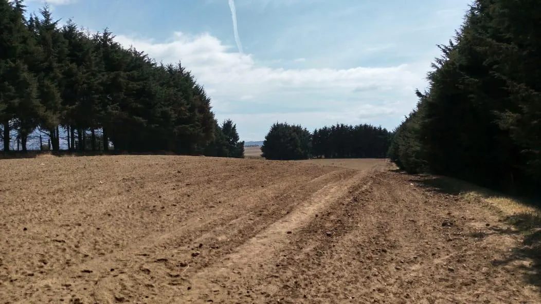 Terreno Spot2