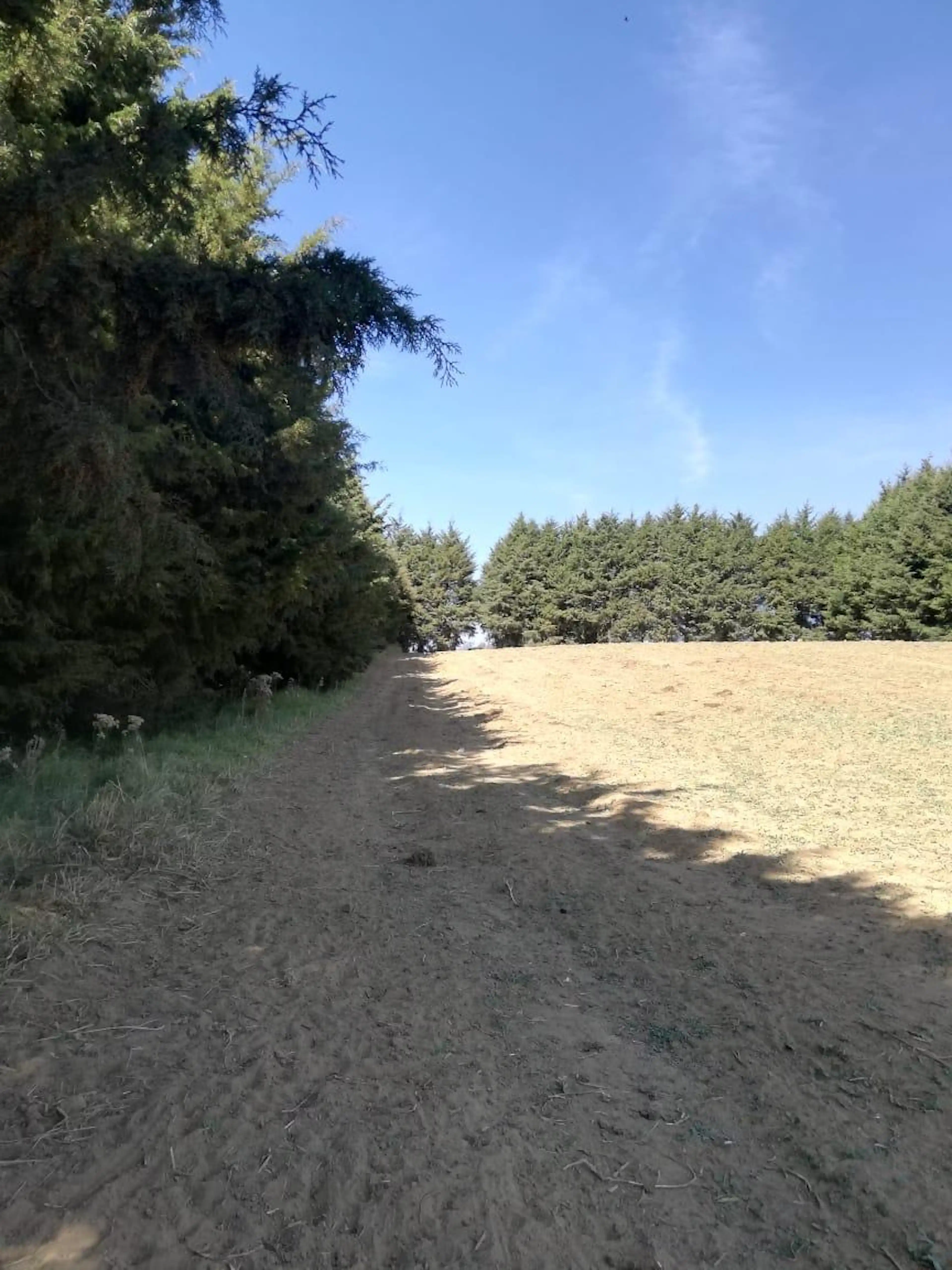 TERRENO EN VENTA EN XALATLAXO - (4)