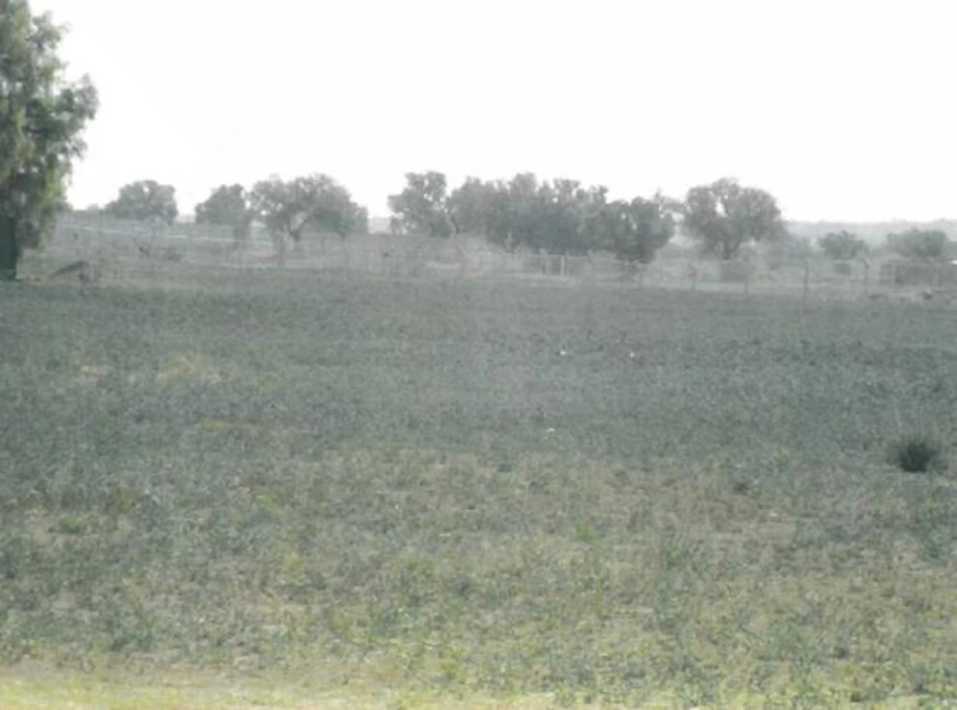 Terreno Comercial En Venta En  Carretera Federal México - Pachuca