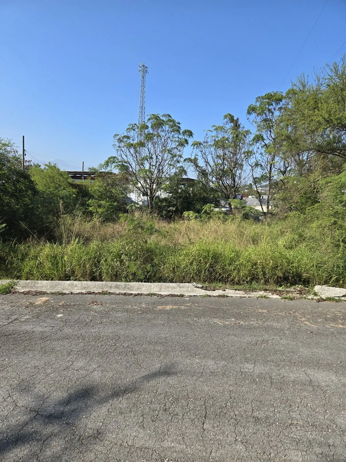 Terreno Spot2