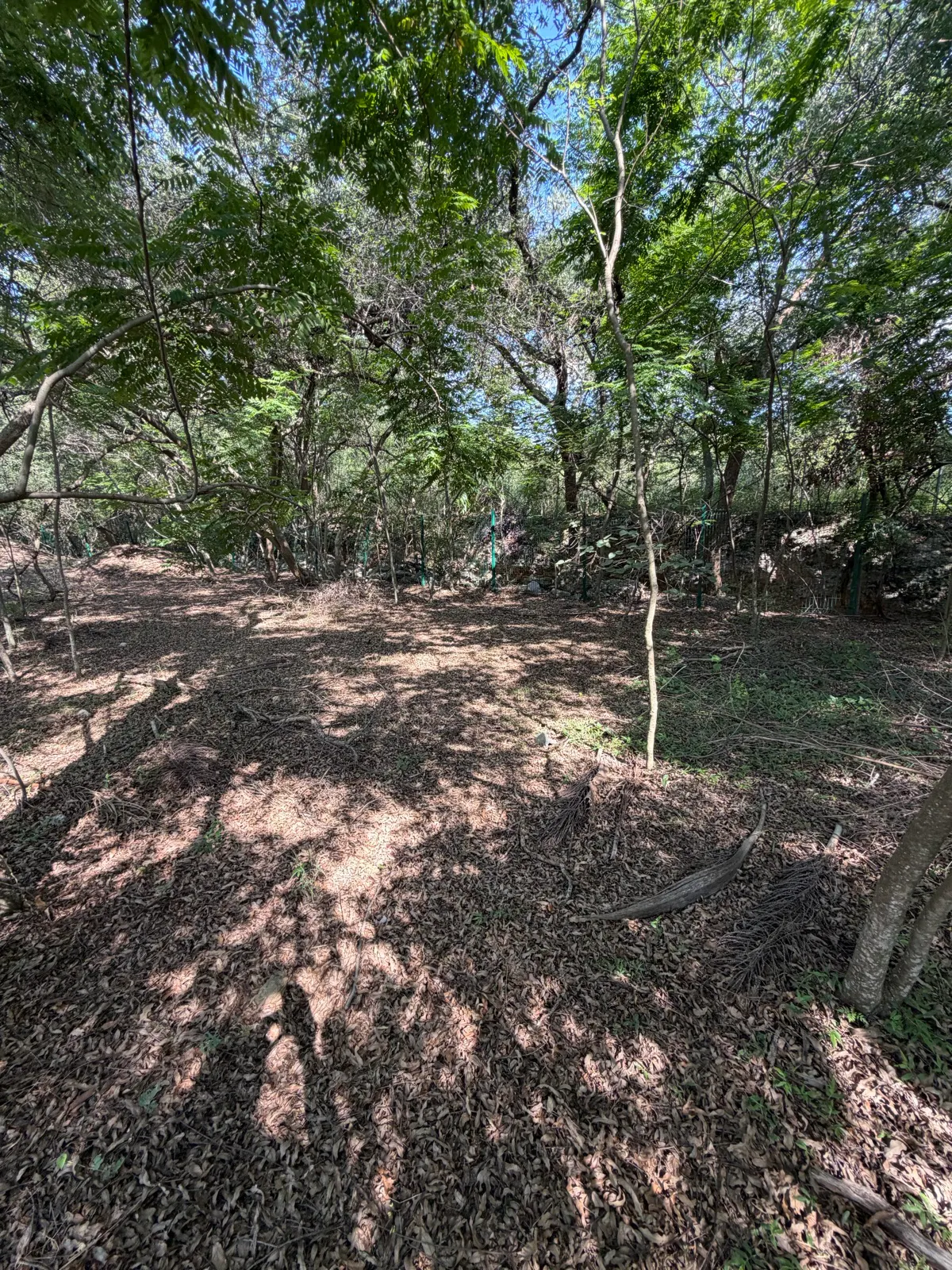 Terreno Spot2