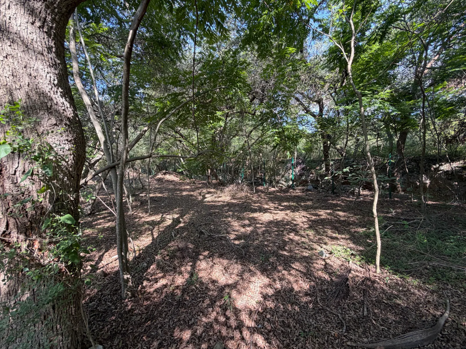 Terreno Spot2
