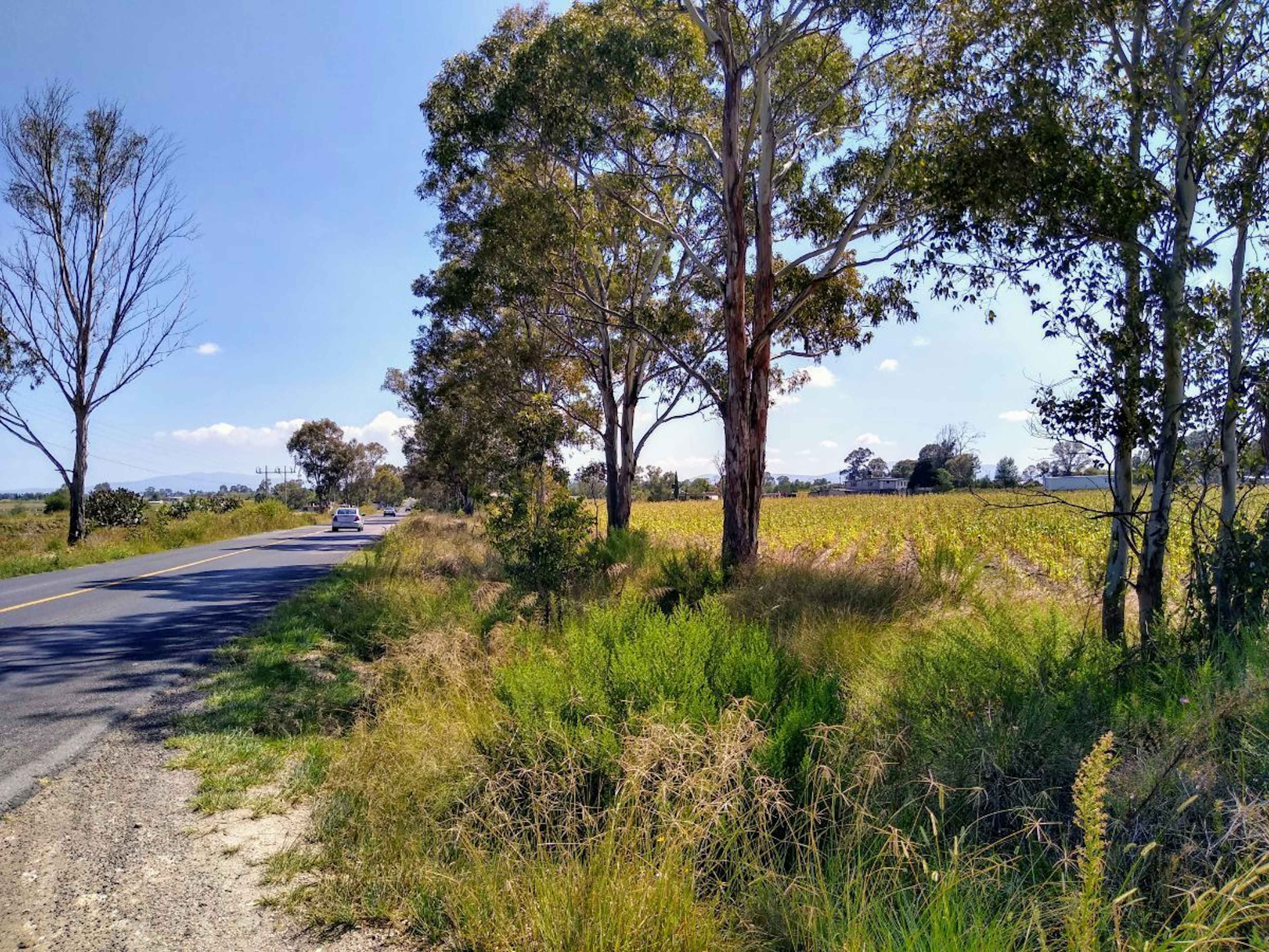 Celayita (san José Celayita)