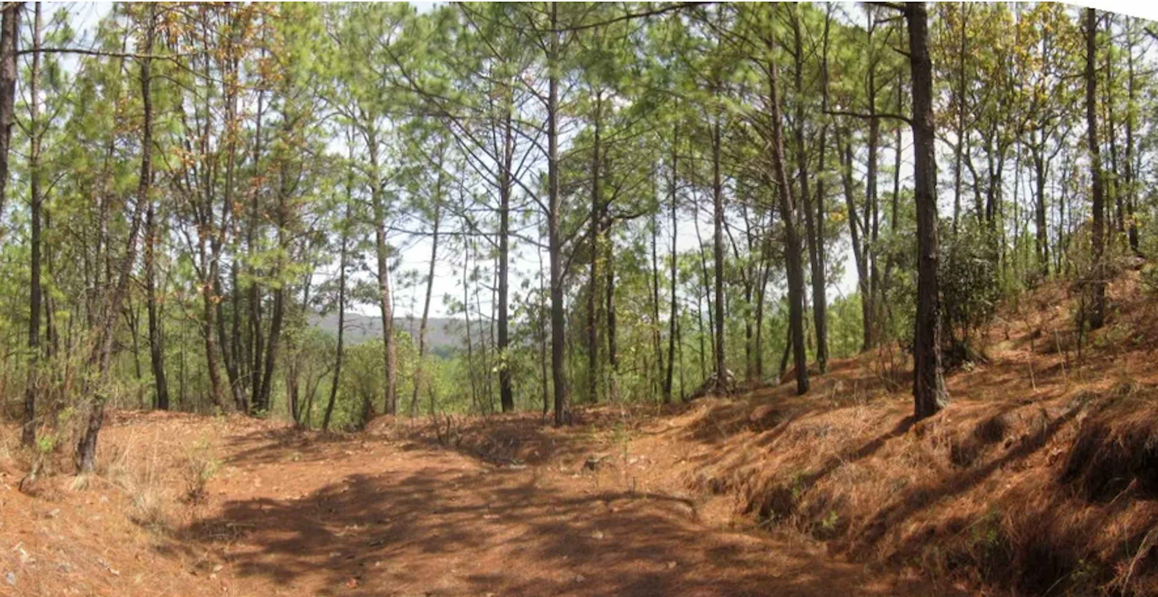 Lázaro Cárdenas 30