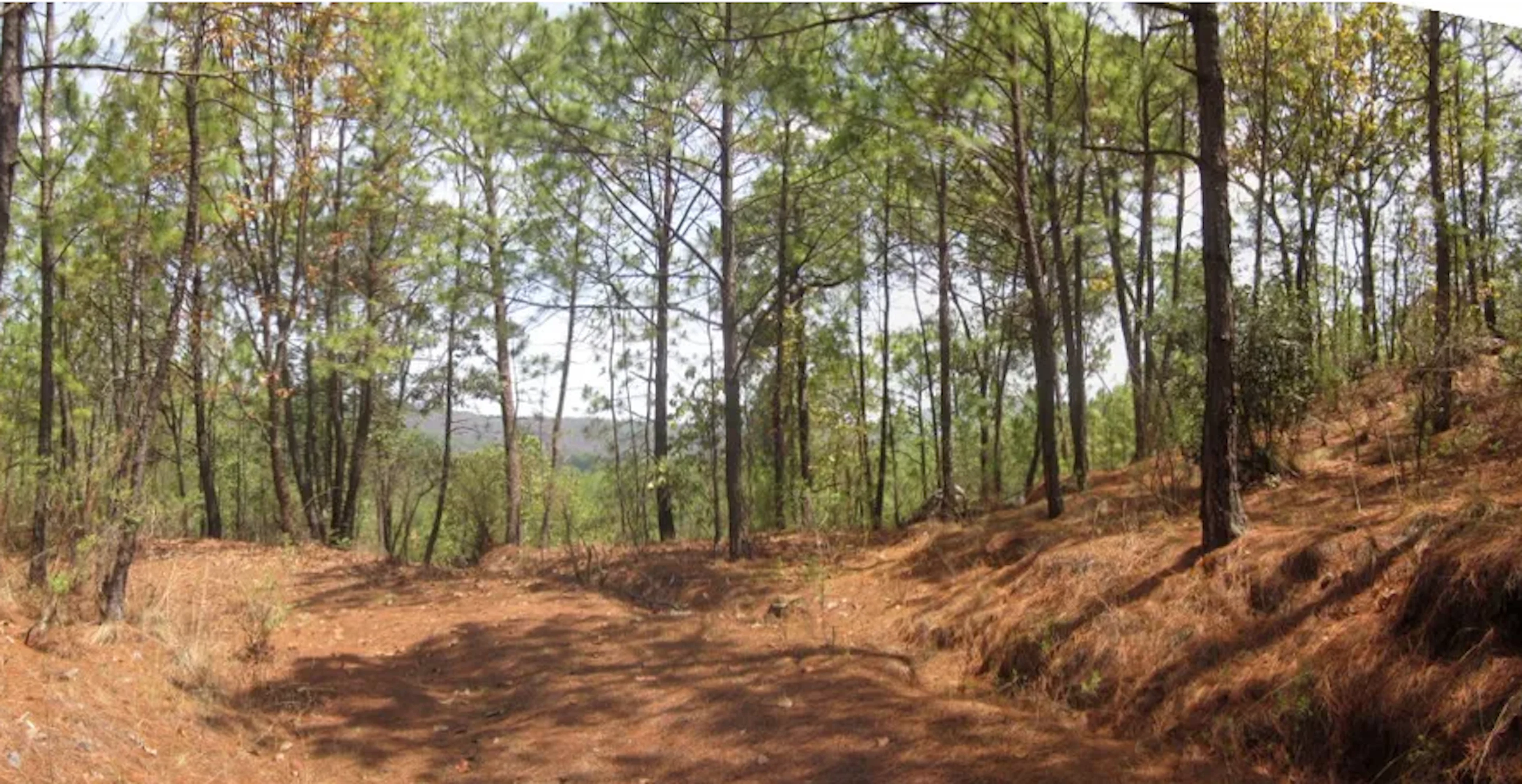 Terreno Spot2
