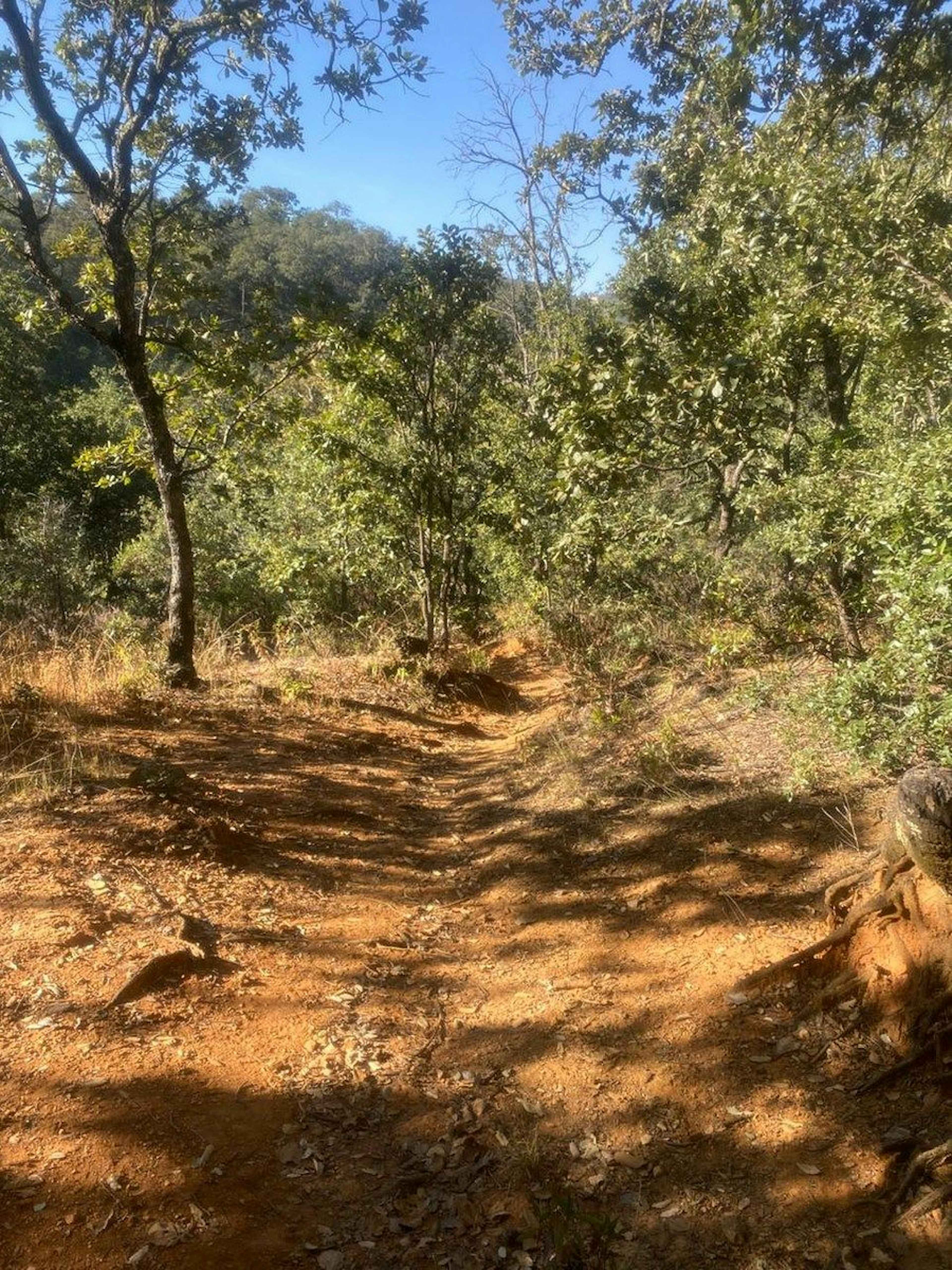 Terreno Campestre En Venta En Sierra De Santa Rosa