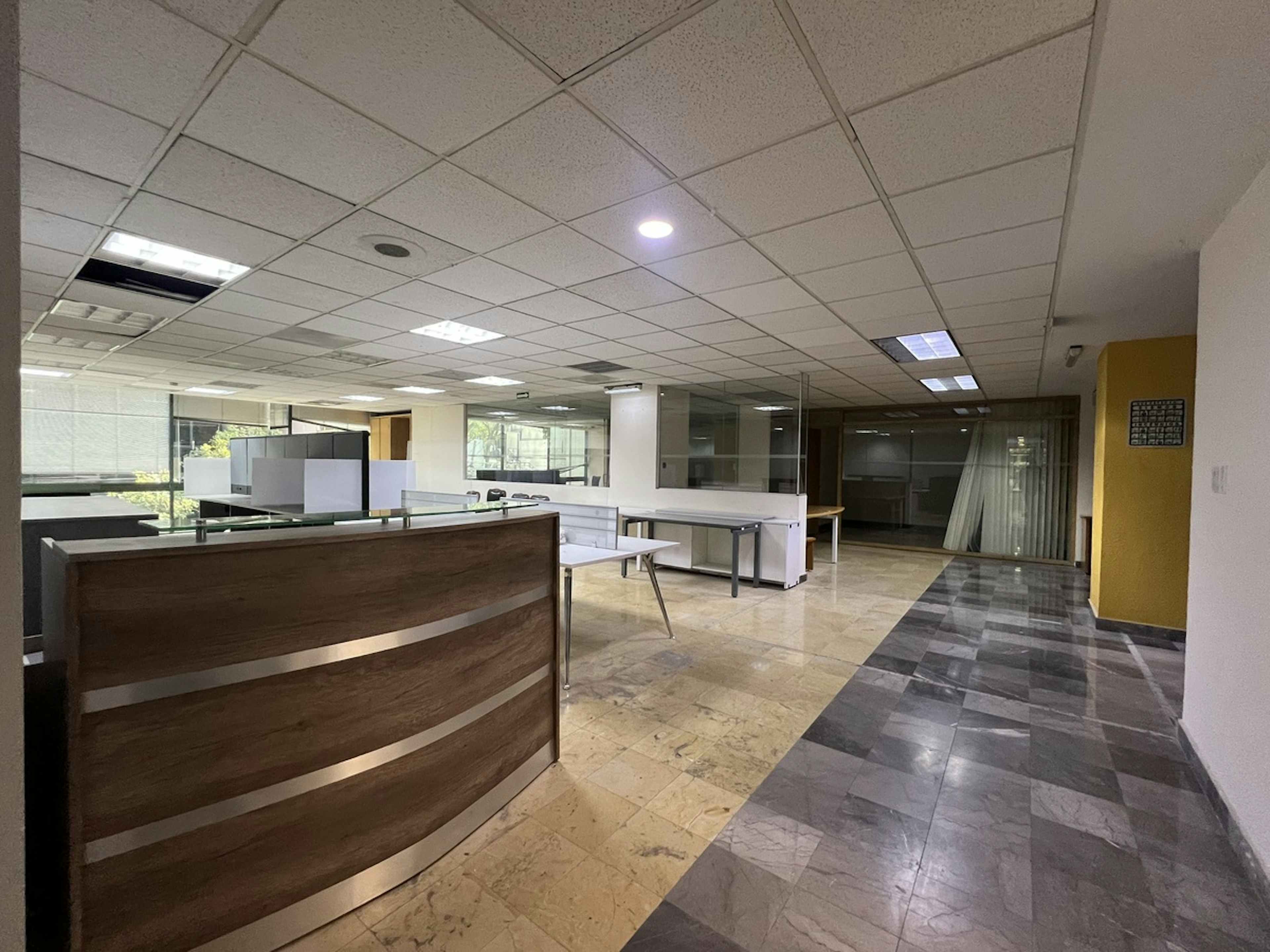 Avenida Ejército Nacional Mexicano