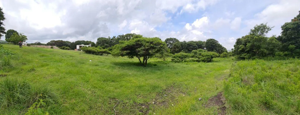 Terreno Spot2