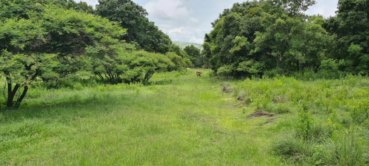 Terreno Spot2