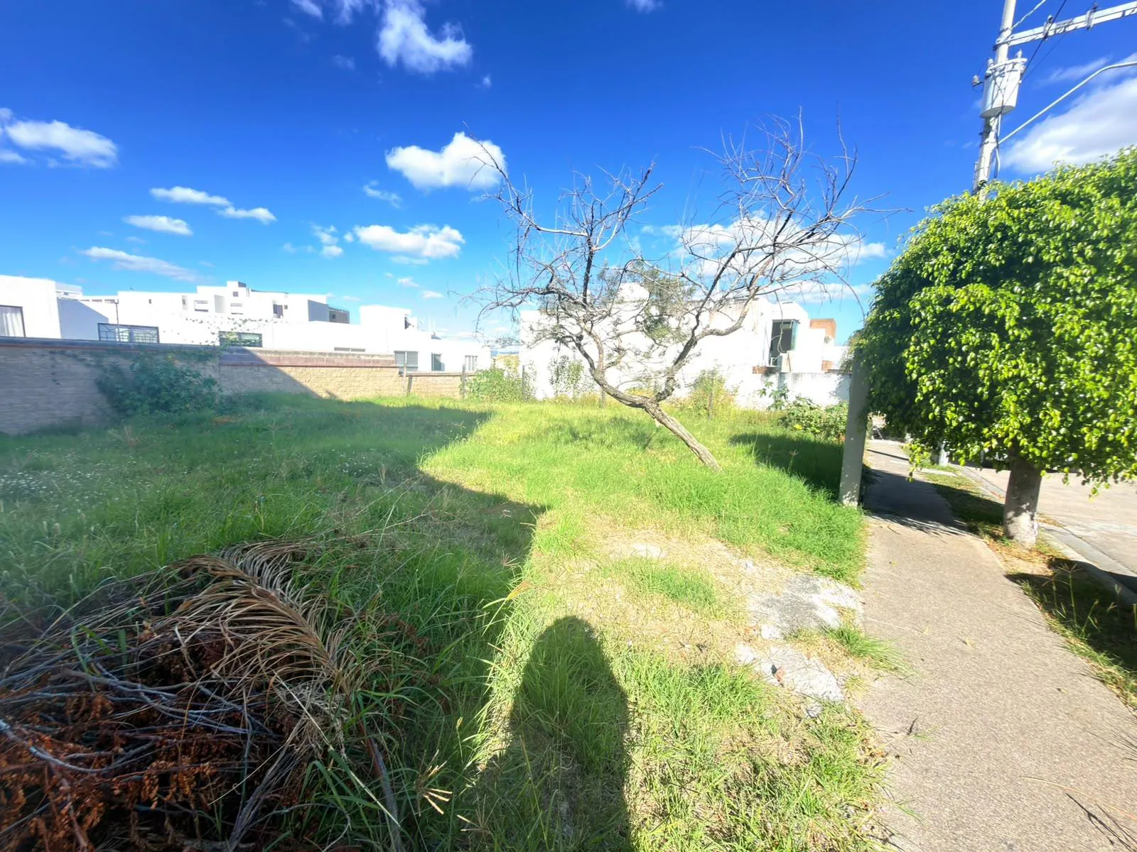 Terreno Spot2
