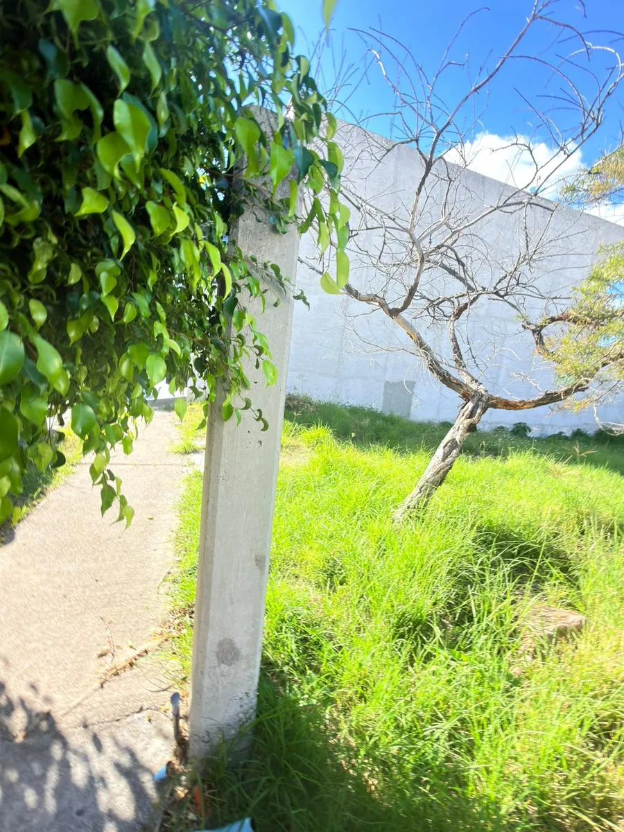 Terreno Spot2
