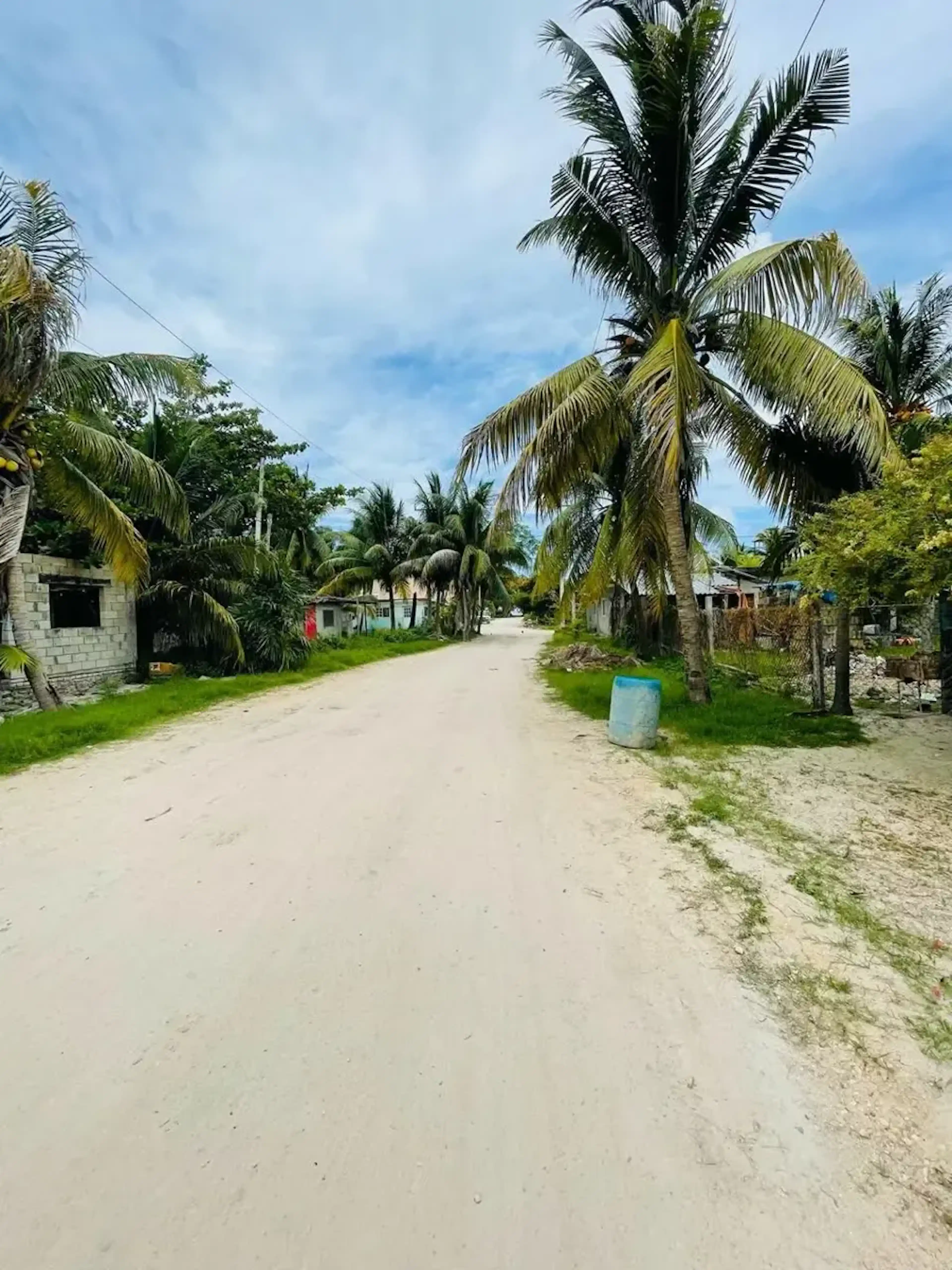 Terreno En Venta En Javier Rojo Gómez (punta Allen), Tulum, Quintana Roo