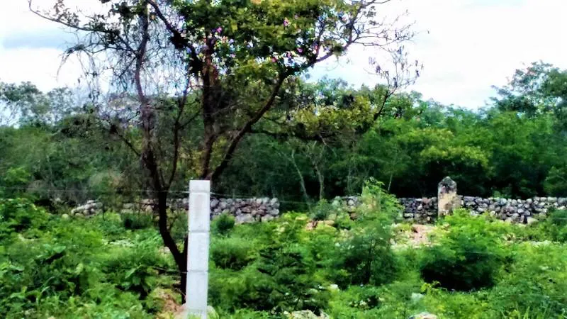 Terreno Spot2