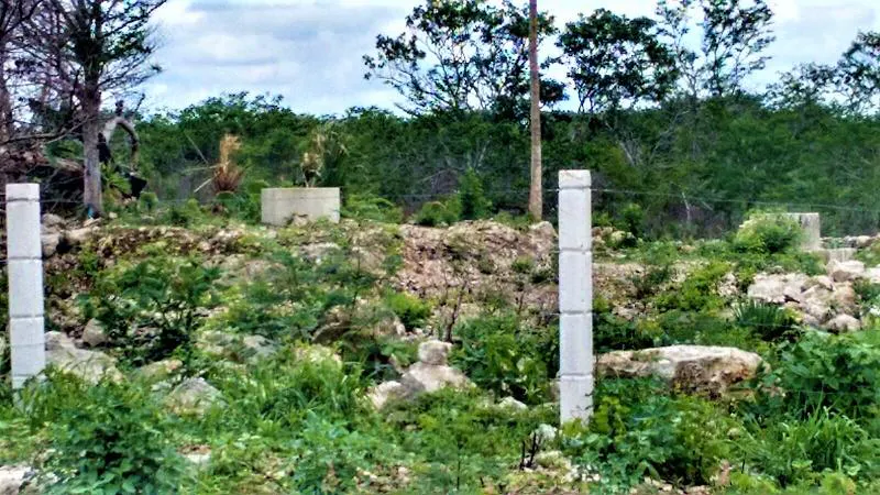 Terreno Spot2