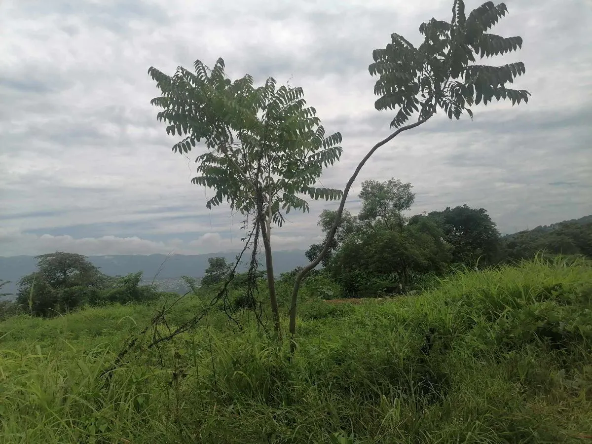 Terreno Spot2
