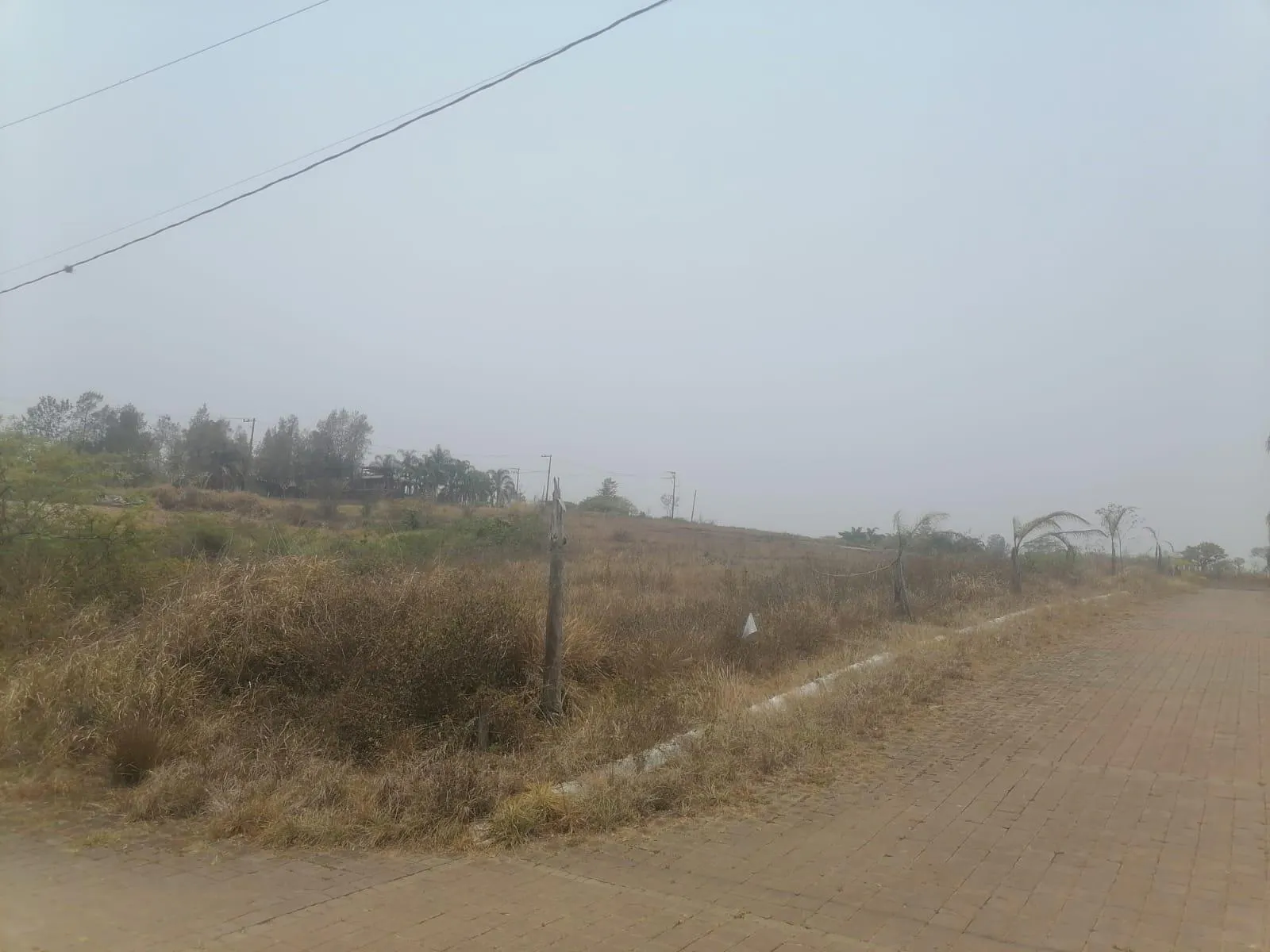 Terreno Spot2