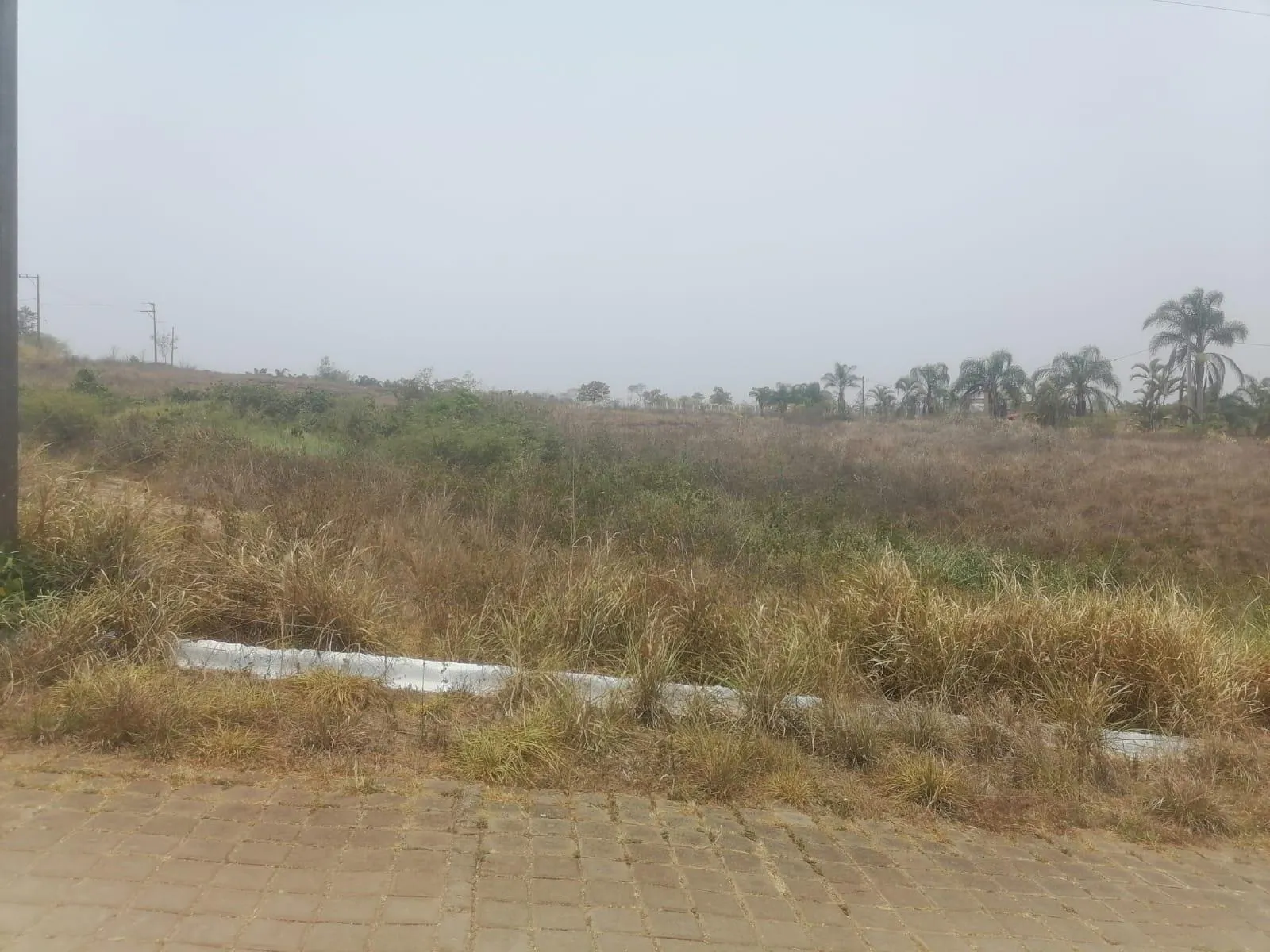 Terreno Spot2