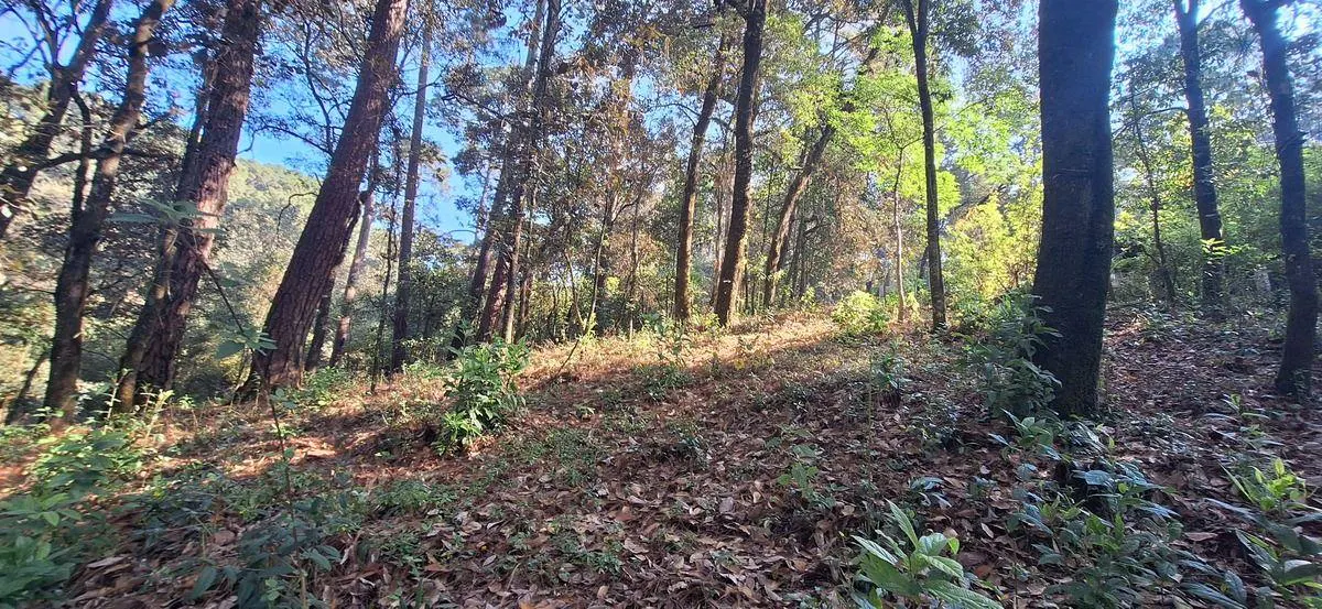 Terreno Spot2