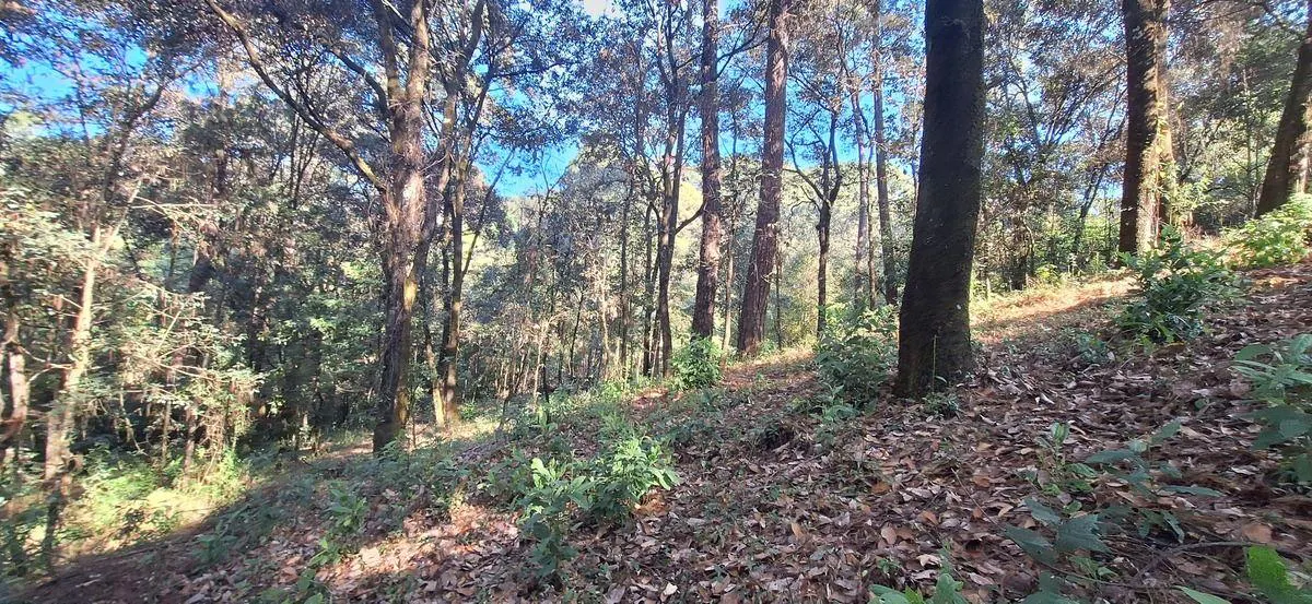 Terreno Spot2