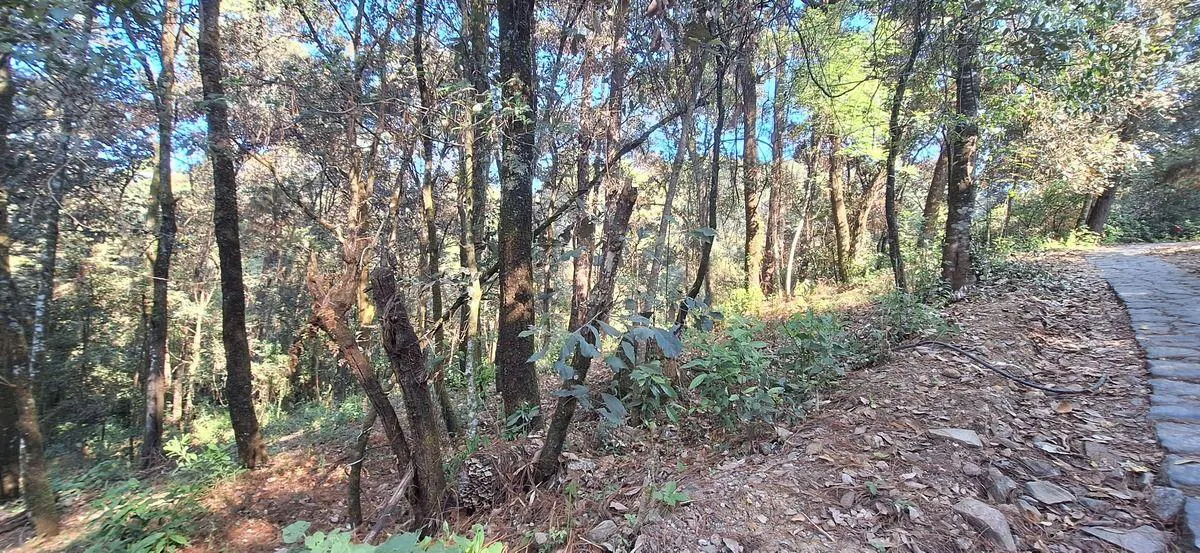 Terreno Spot2