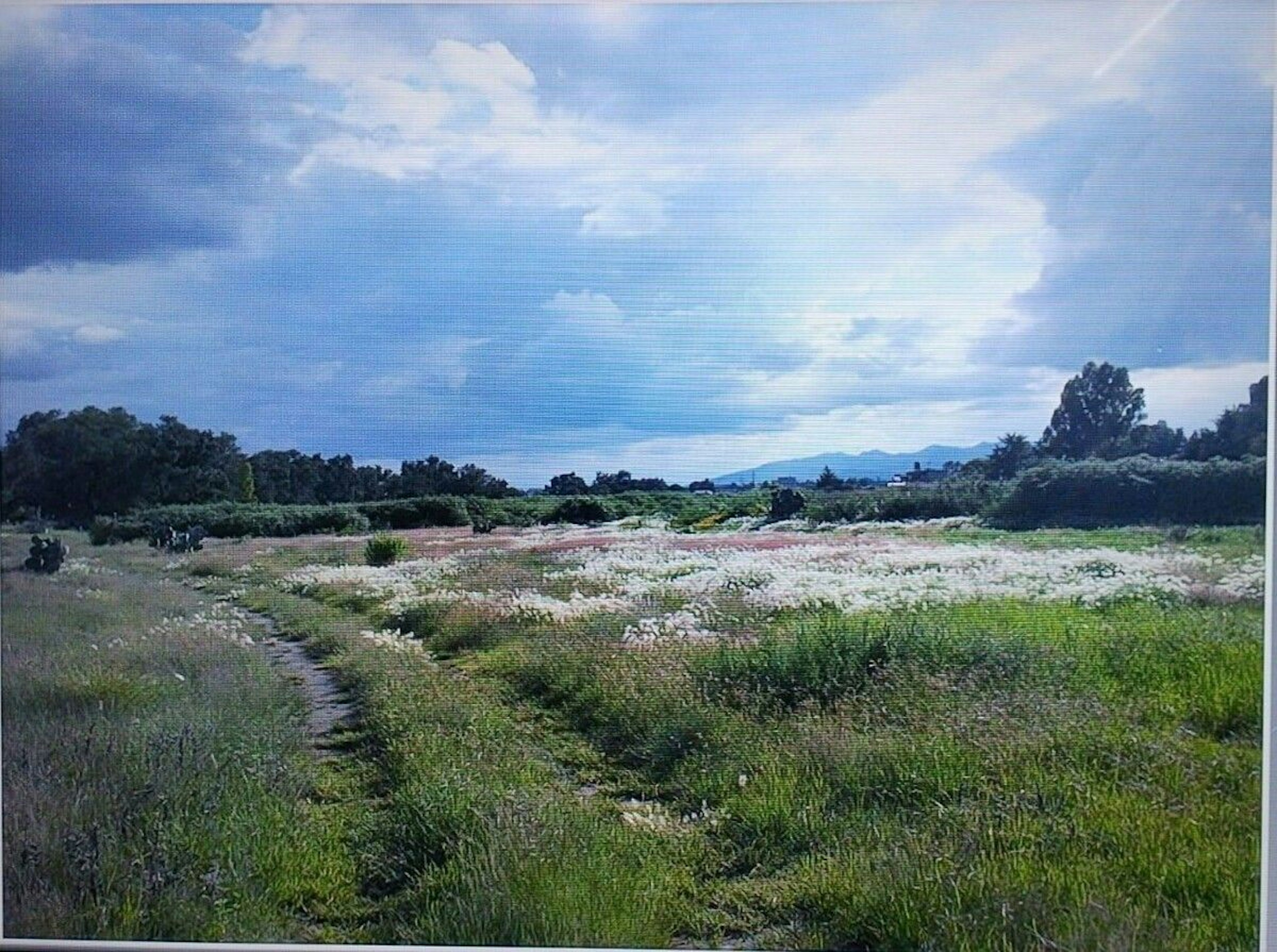 Spot image 0