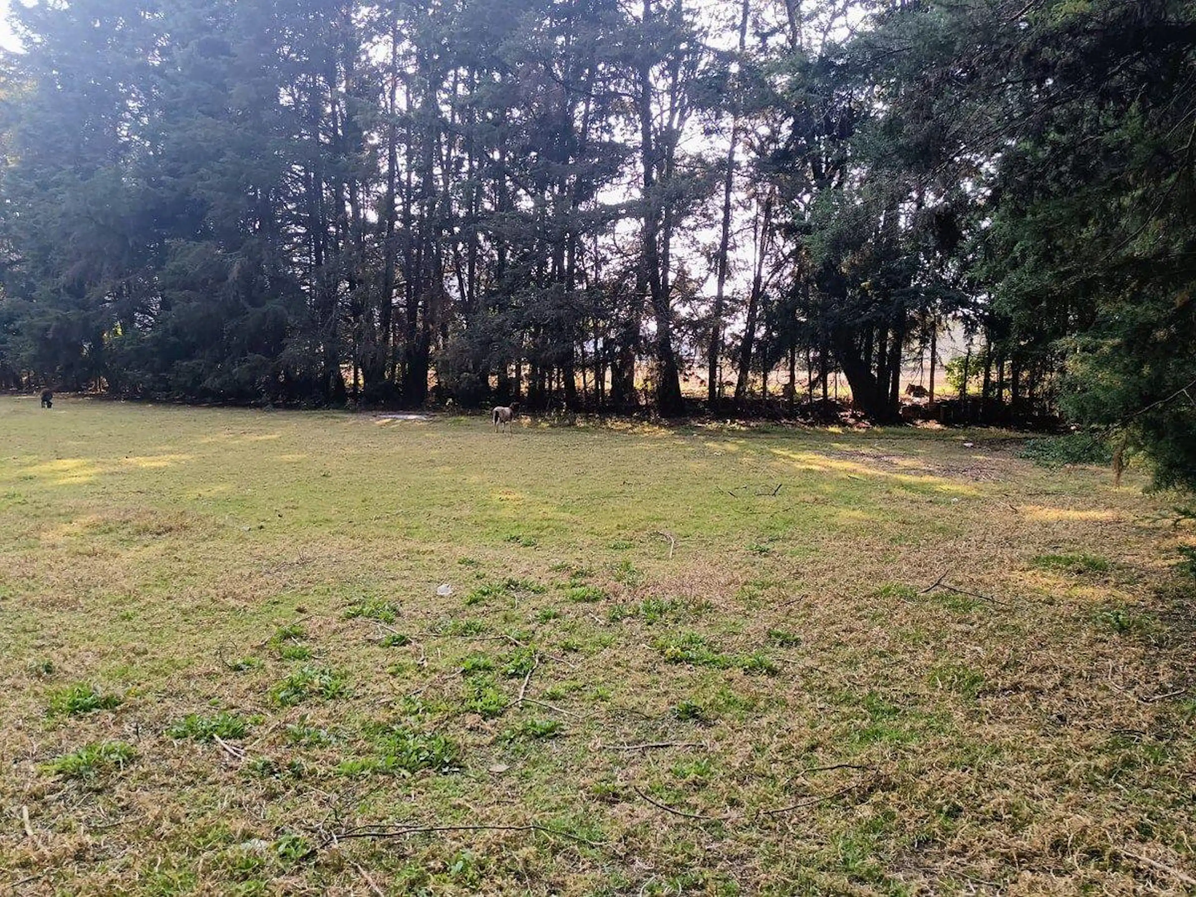 ???? Terreno en venta en San Bartolo, Amanalco ????