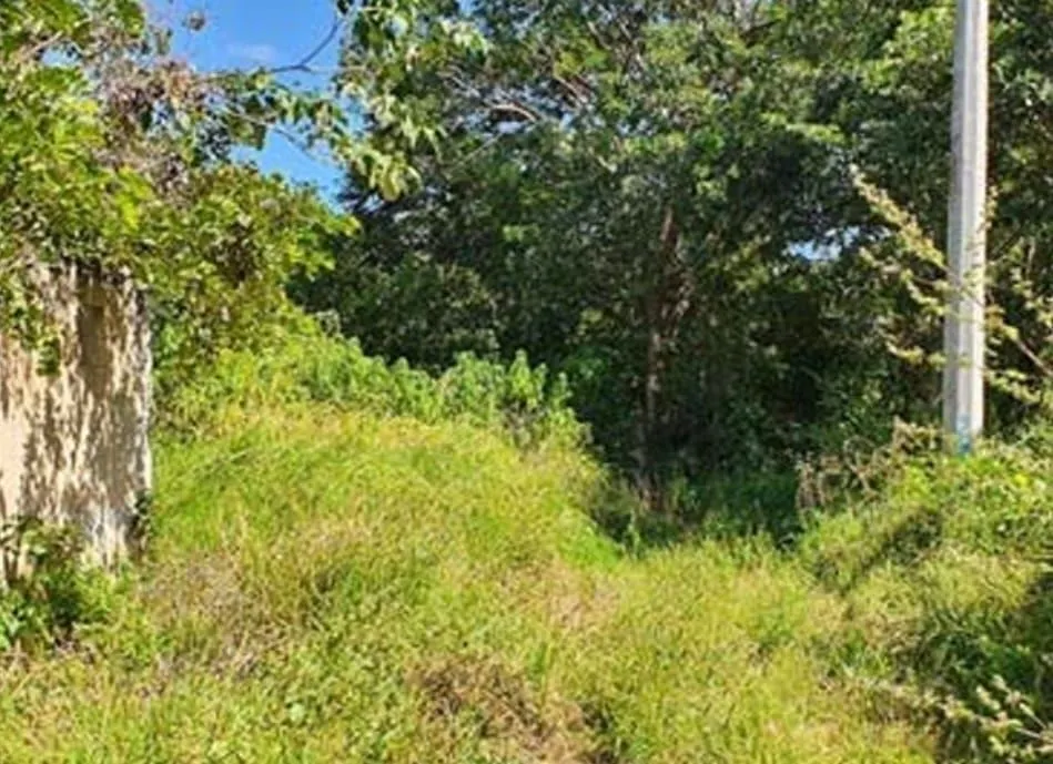 Terreno Spot2