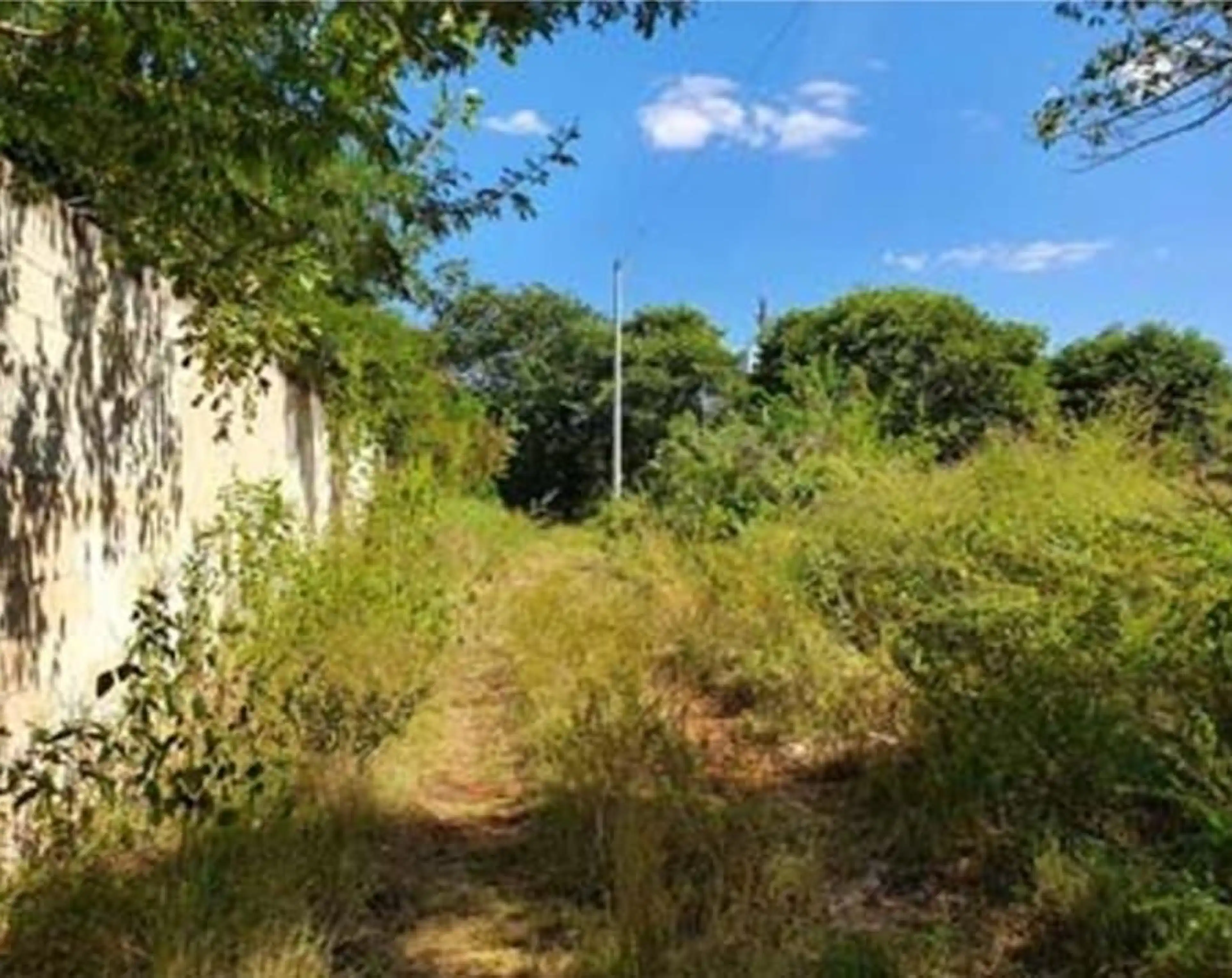 Terreno En Venta Para Desarrollar En Cholul