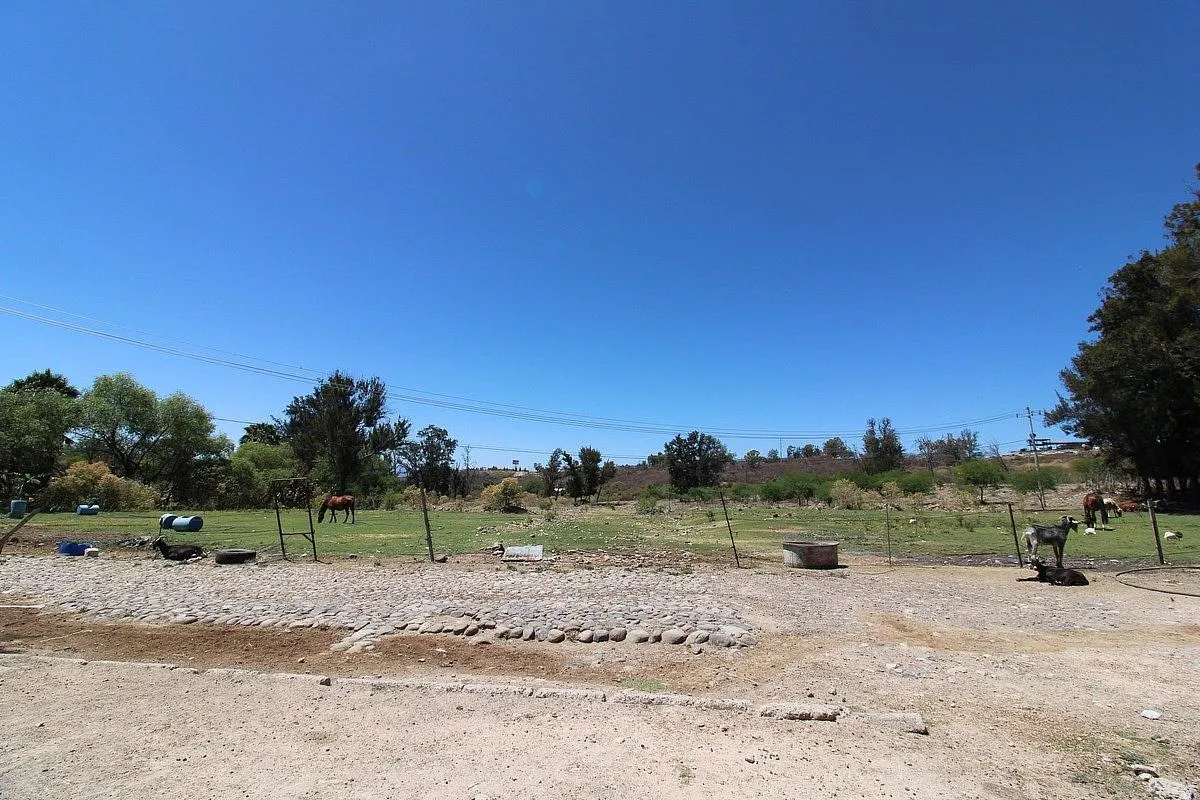 Terreno Spot2