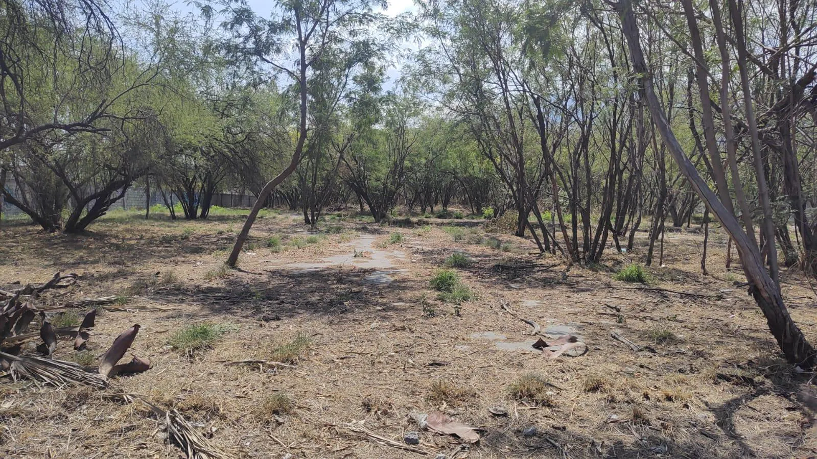 Terreno Spot2