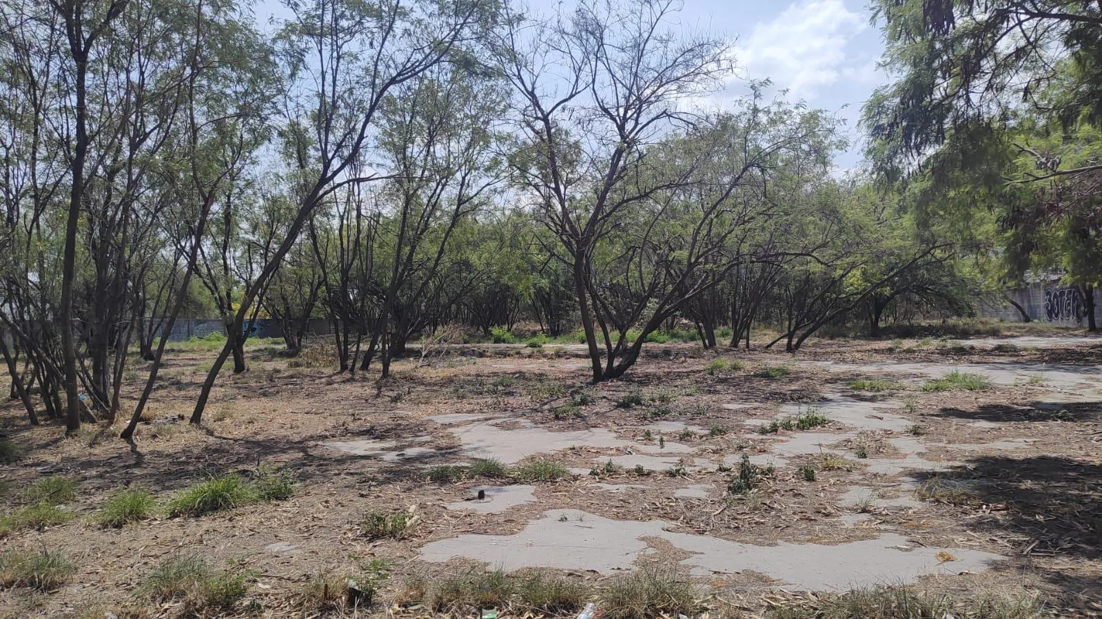 Terreno Spot2