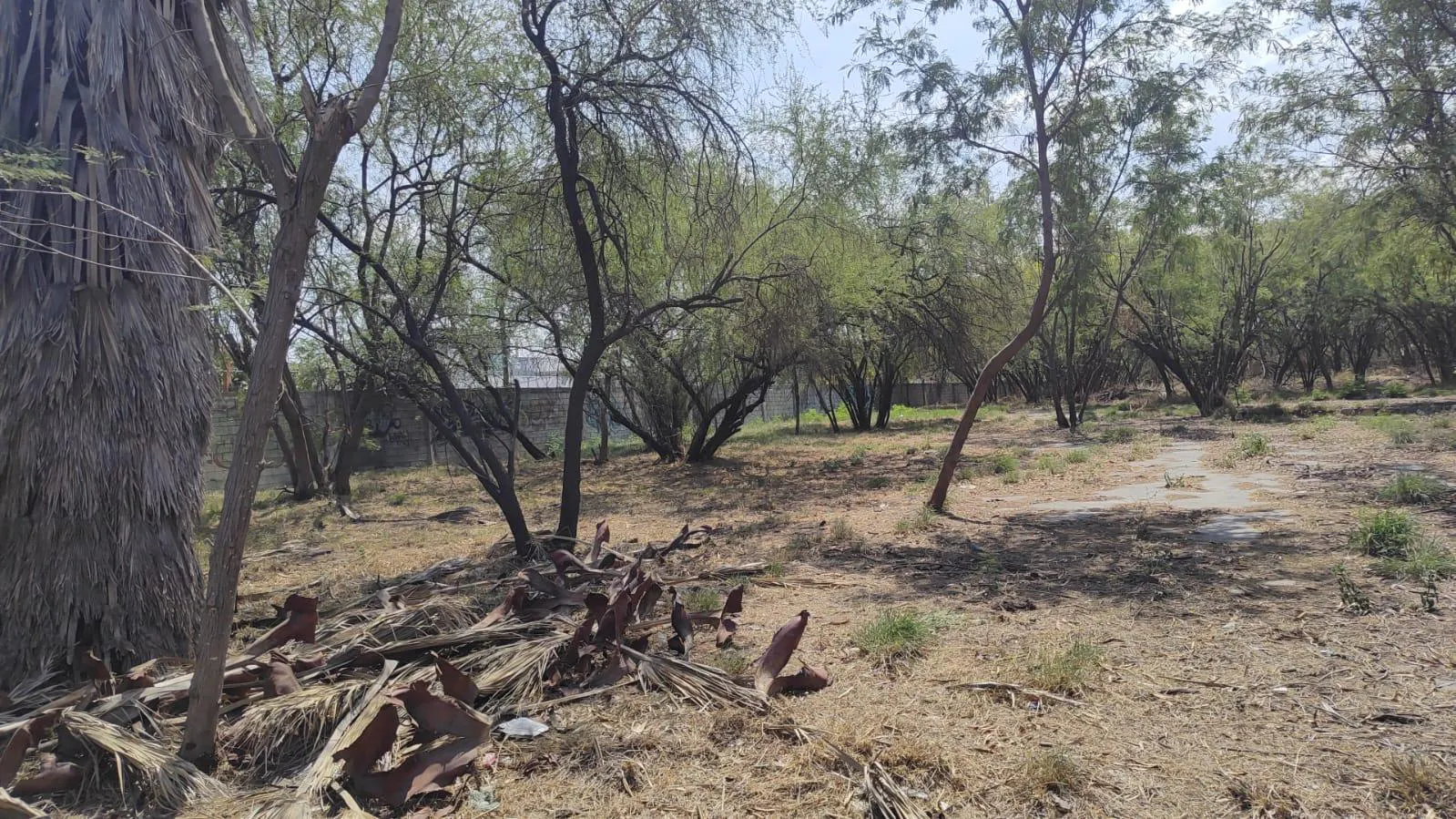 Terreno Spot2