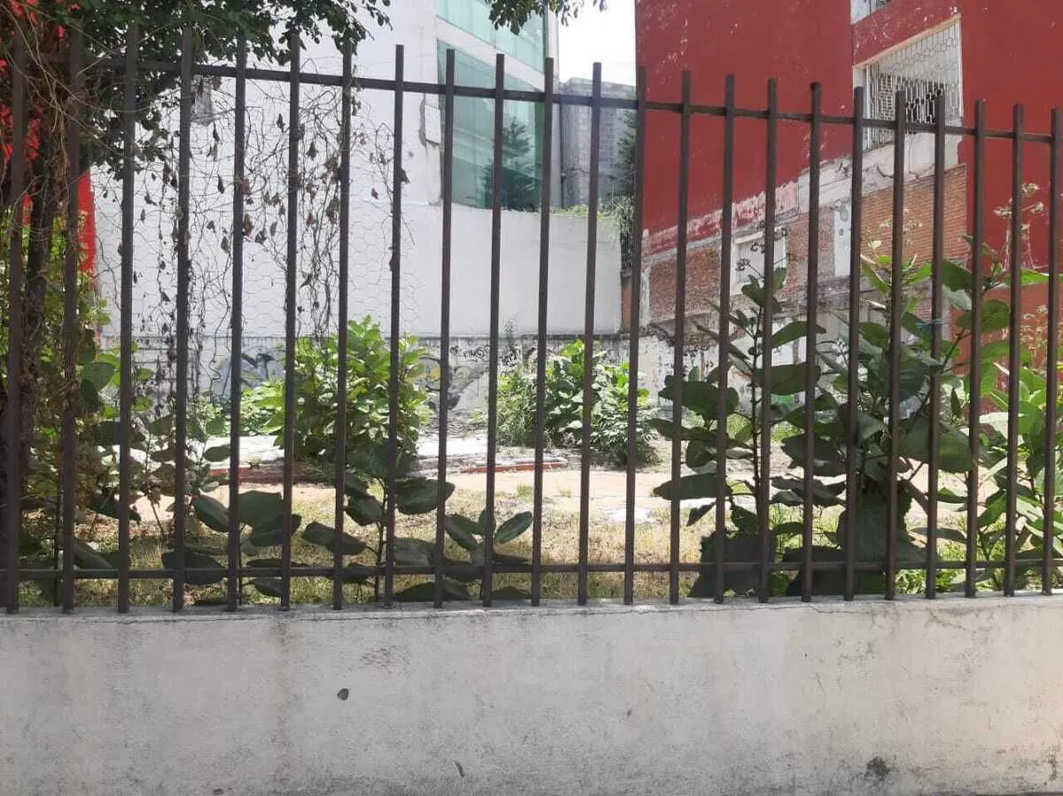 Terreno Spot2